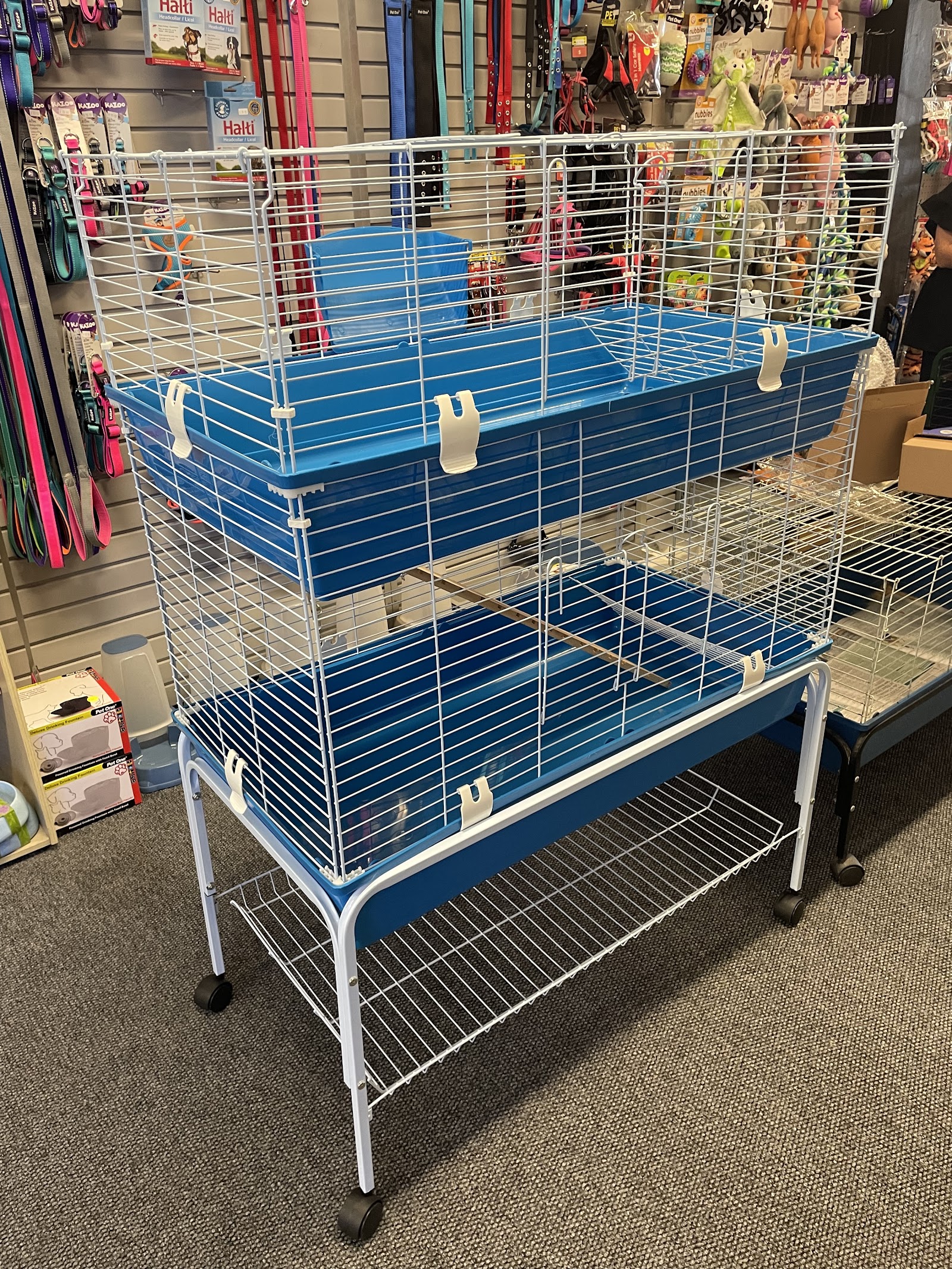 Dolly's Pet Shop