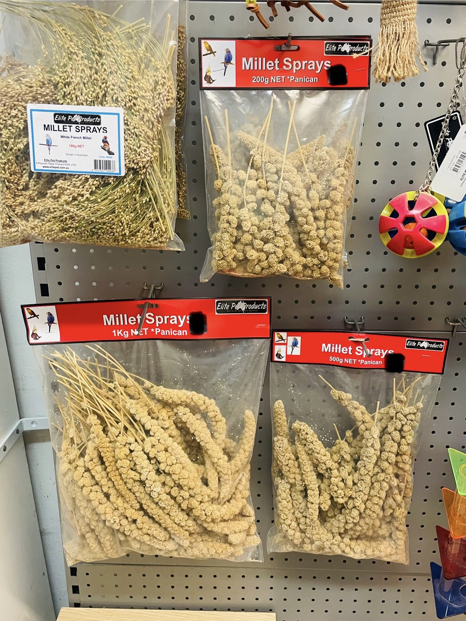 Dolly's Pet Shop