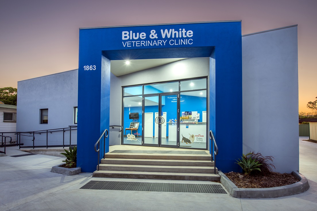 Blue & White Vet Surgery — Pet Groomers