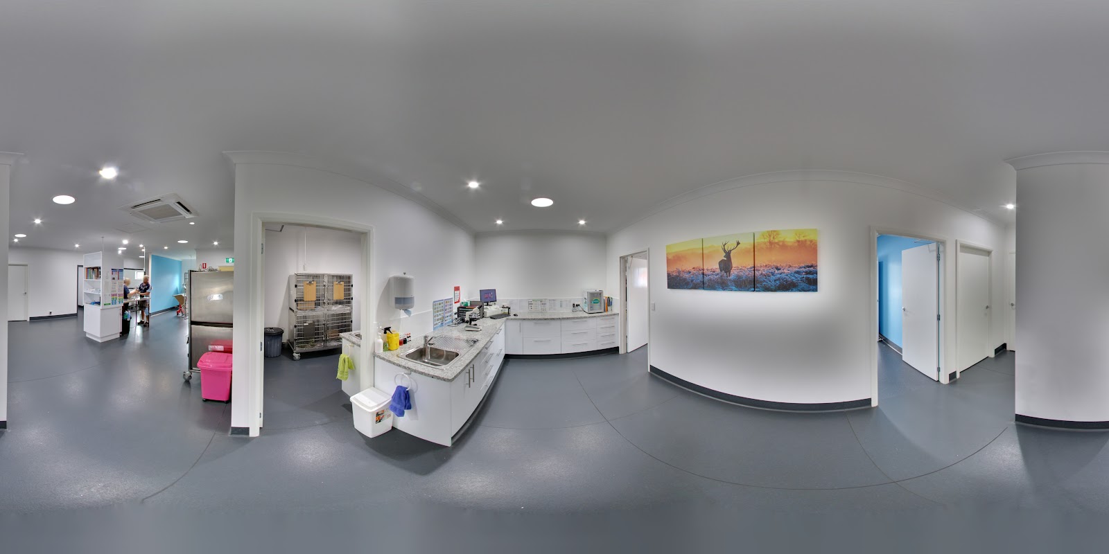 Blue & White Vet Surgery