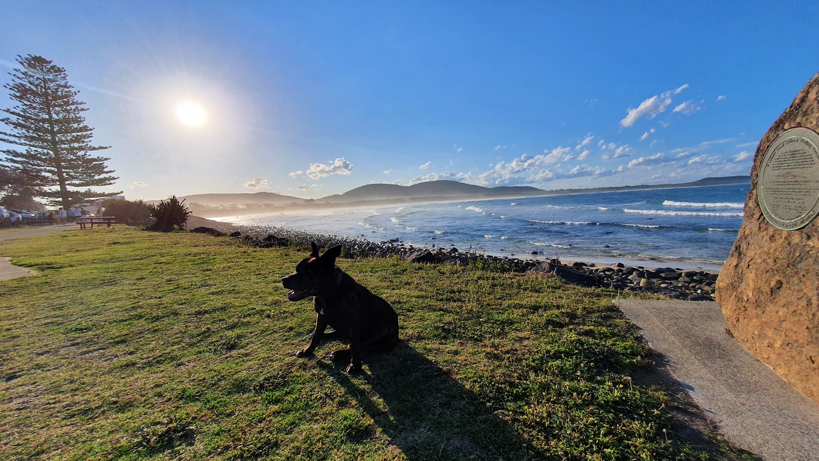 Pacific Vetcare Woolgoolga Stephen Deist, Kelly Griffin, Grace Miles, Tiffany Sullivan, Mohna Mahadevan — Pet Groomers