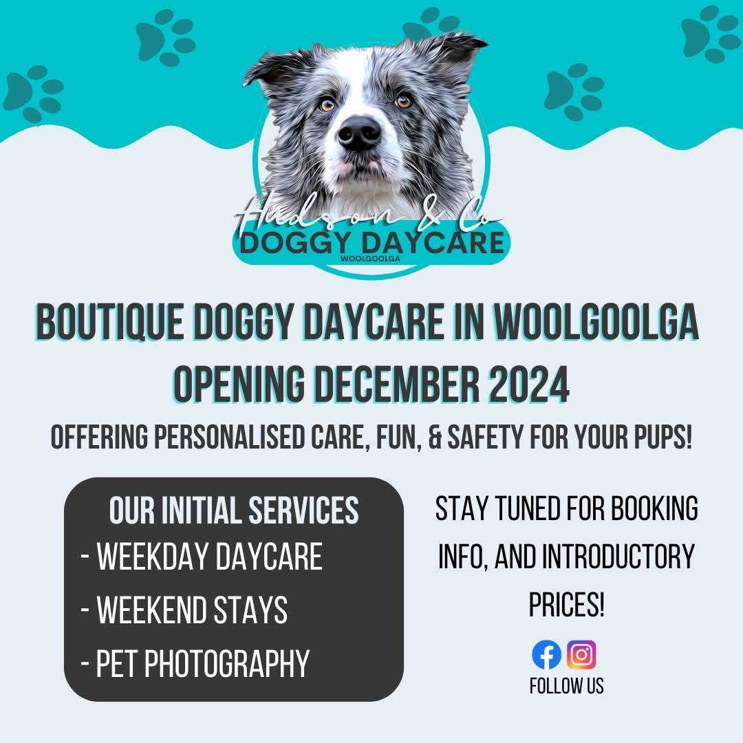 Hudson & Co Doggy Daycare — Pet Groomers