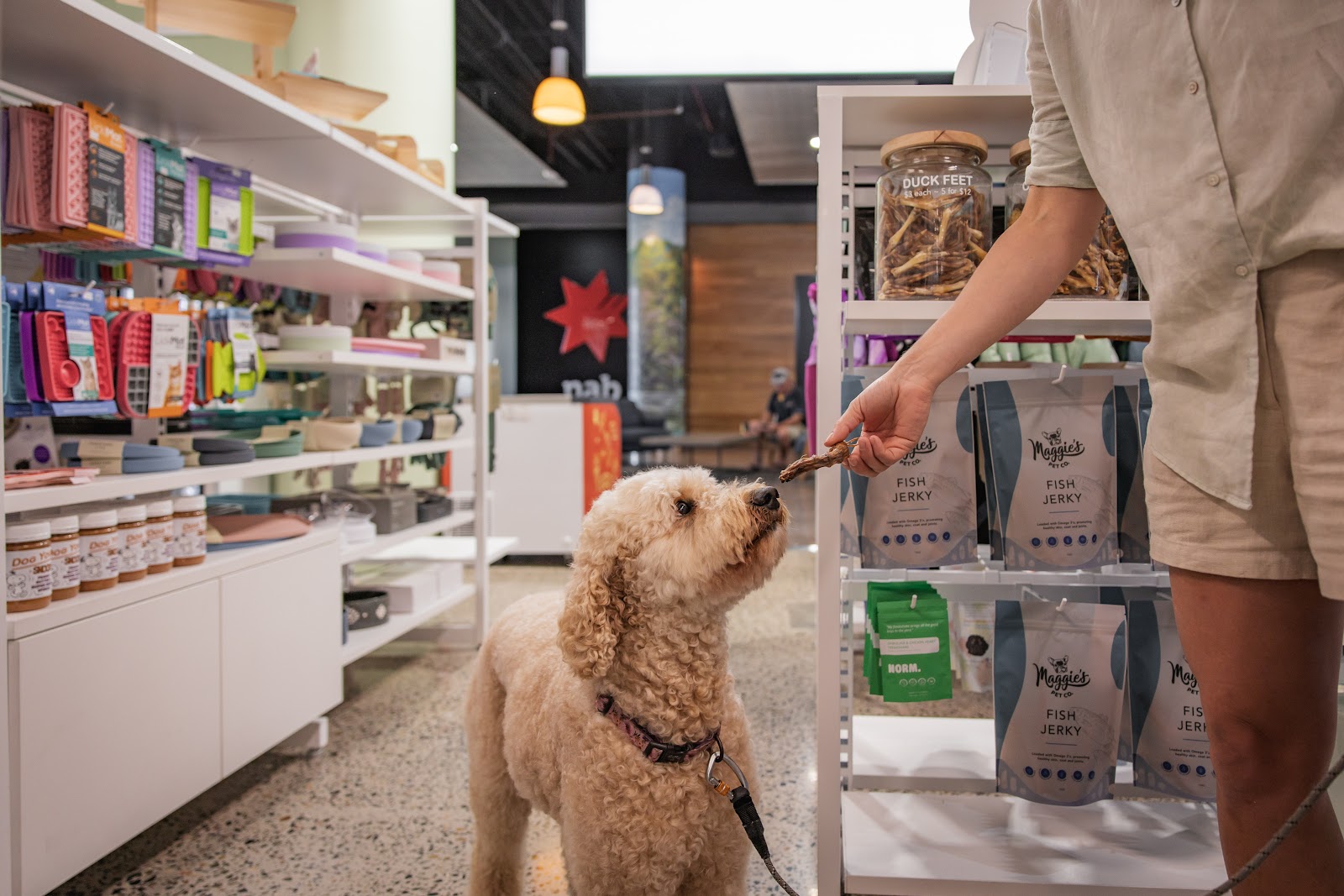 Maggie’s Pet Co.