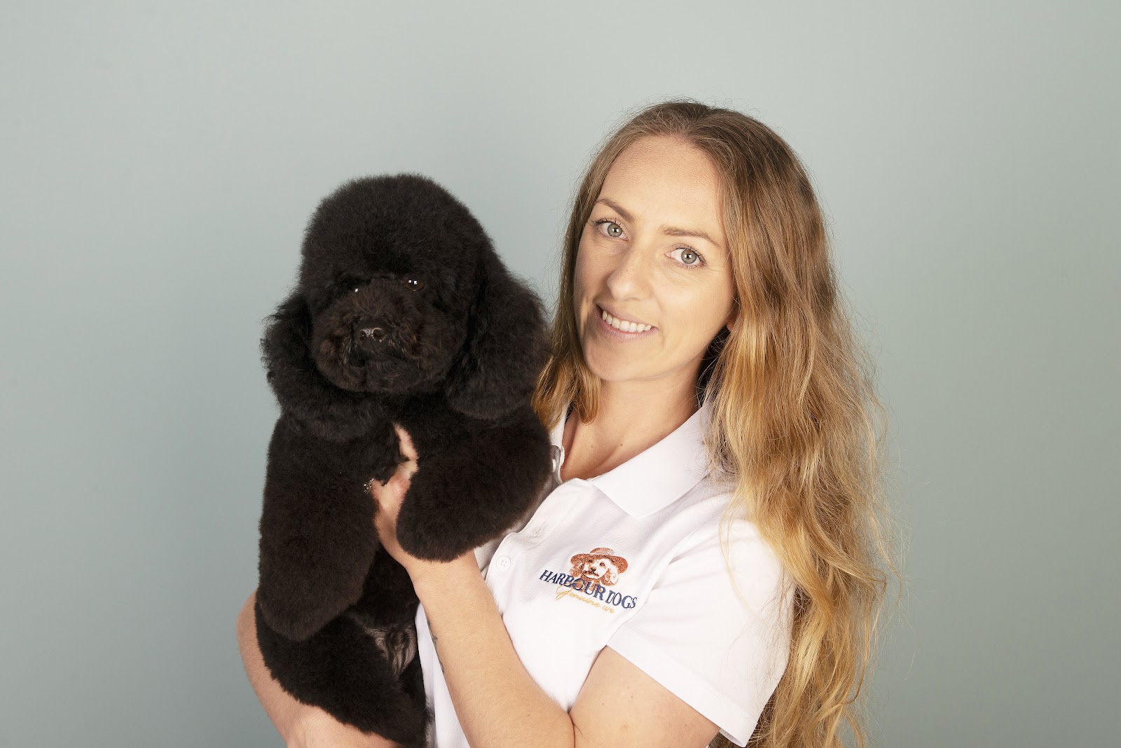Harbour Dogs — Pet Groomers