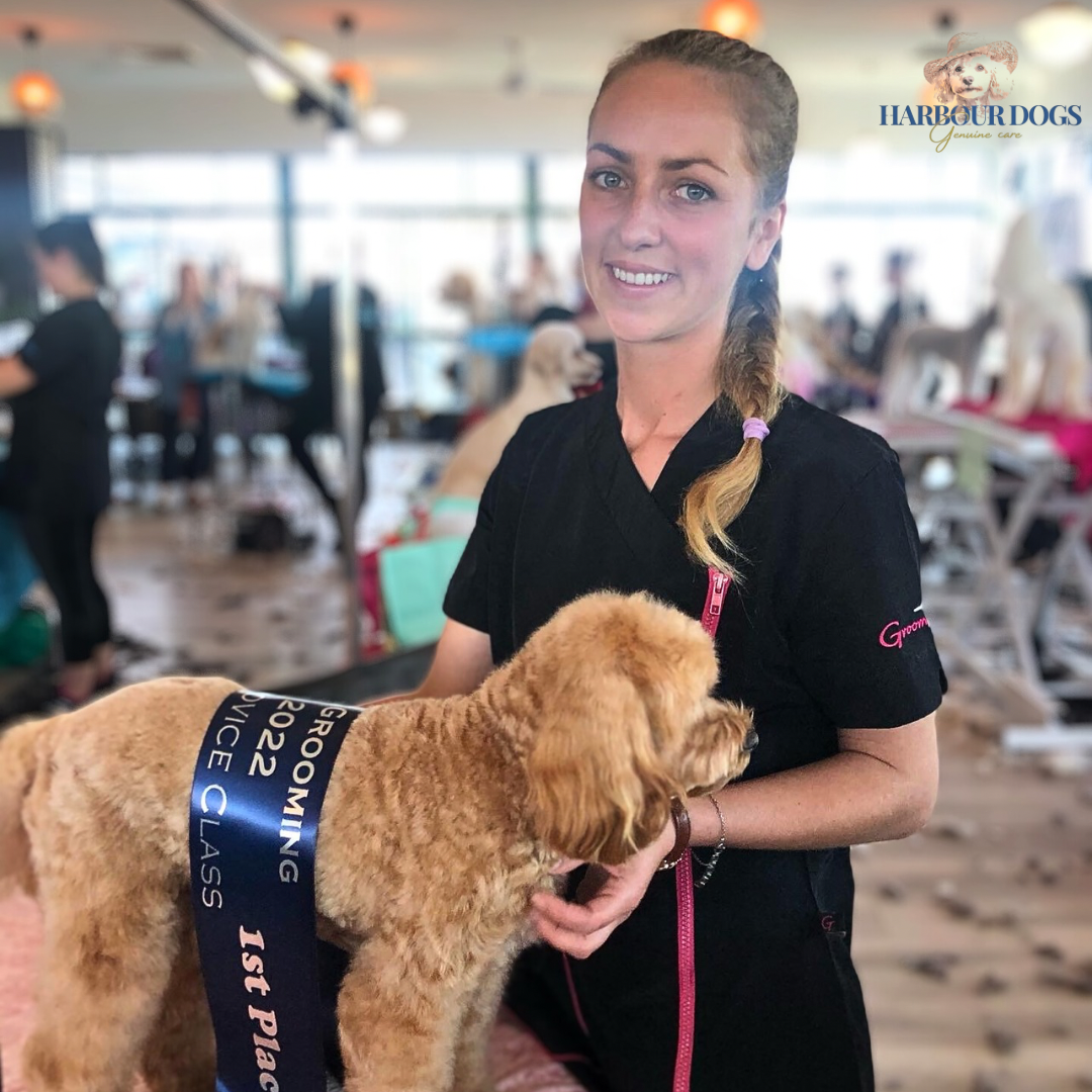 Harbour Dogs