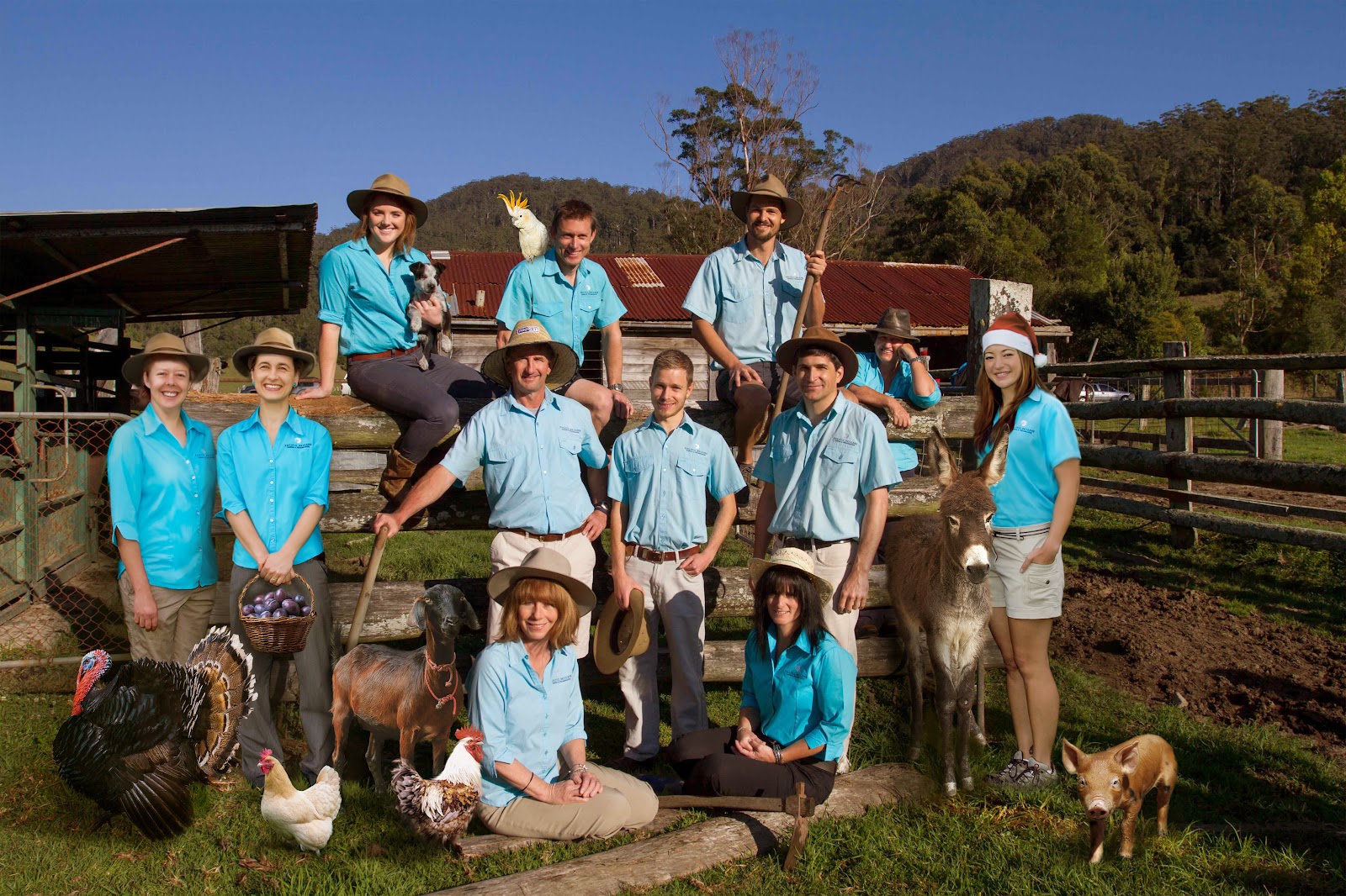 Pacific Vetcare Sawtell — Pet Groomers