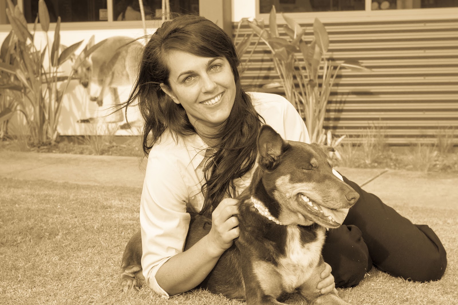 Pacific Vetcare Sawtell