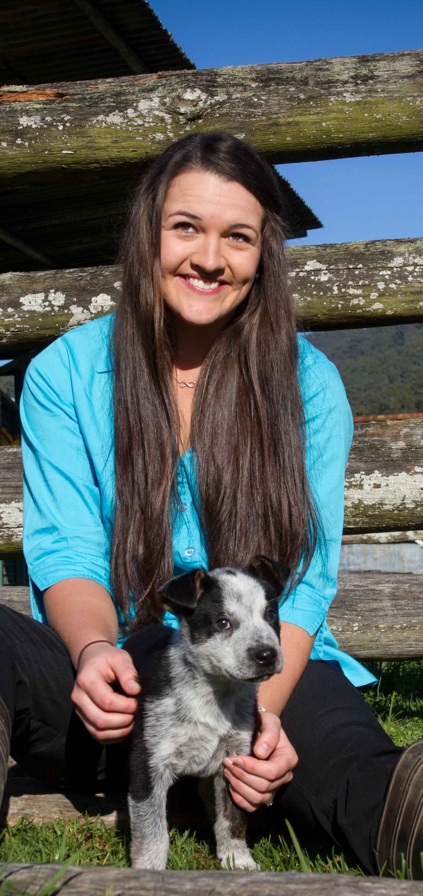 Pacific Vetcare Sawtell