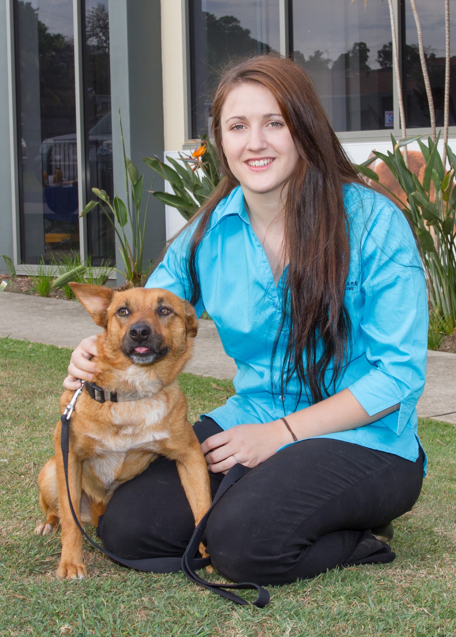 Pacific Vetcare Sawtell