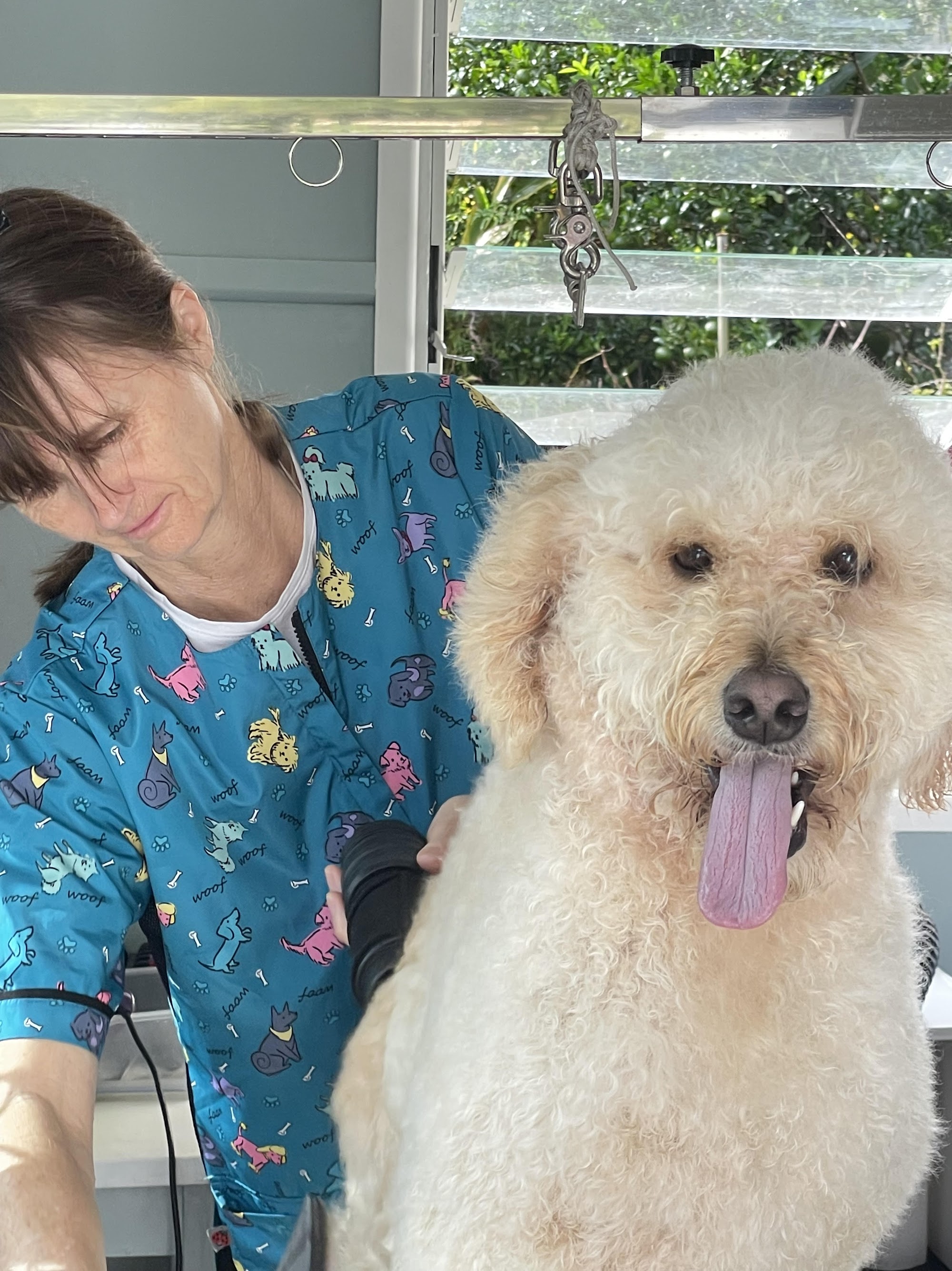 Loving Touch Dog Grooming