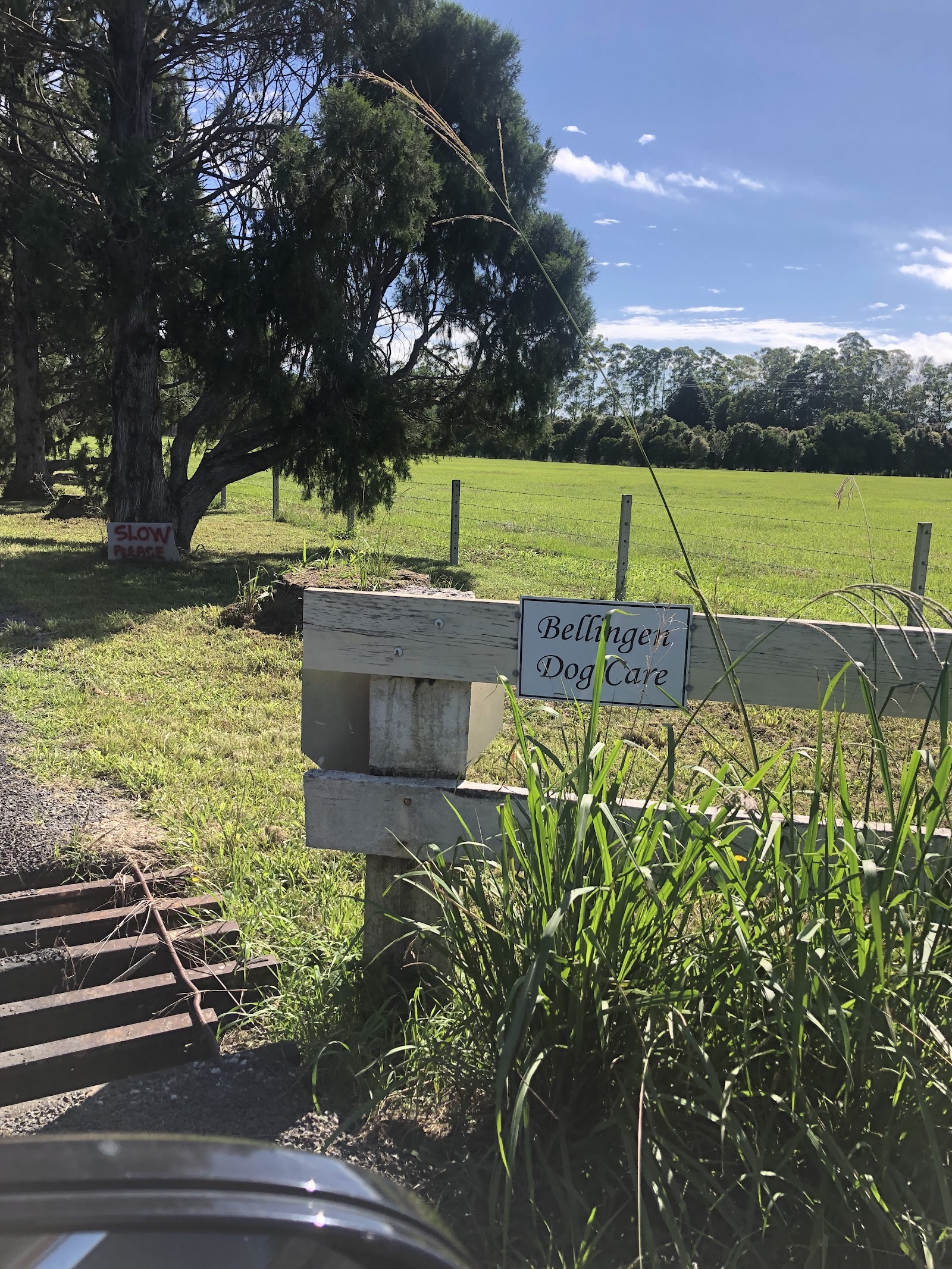 Bellingen Dog Care — Pet Groomers