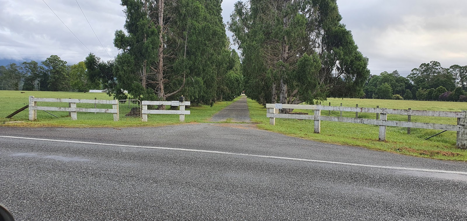 Bellingen Dog Care