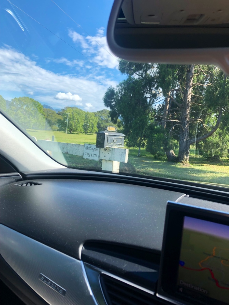 Bellingen Dog Care