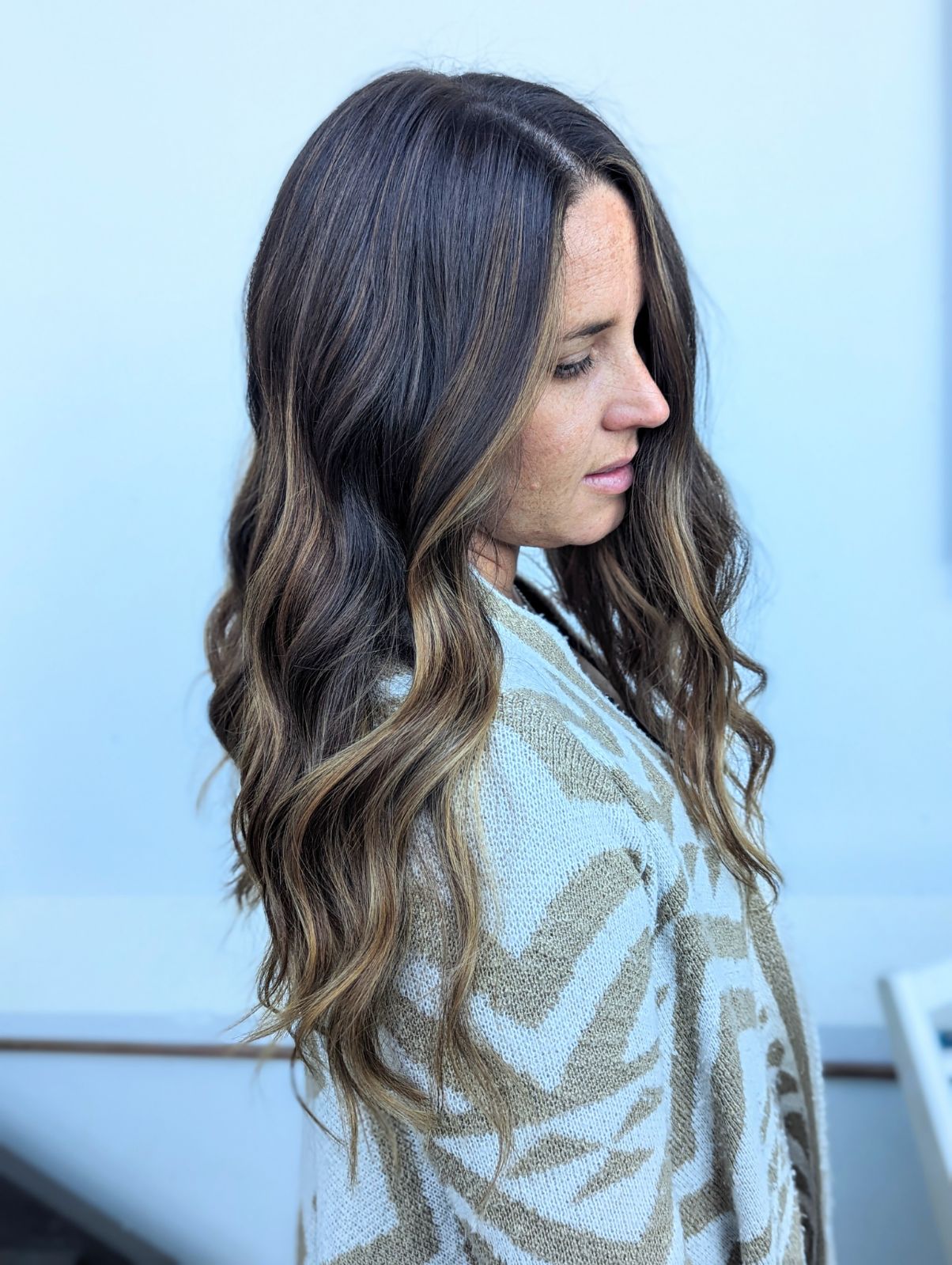Pardon My French Salon — Pet Groomers