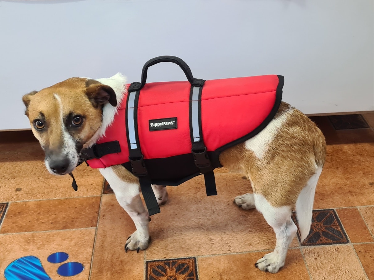 Bellingen Pet & Vet Supplies