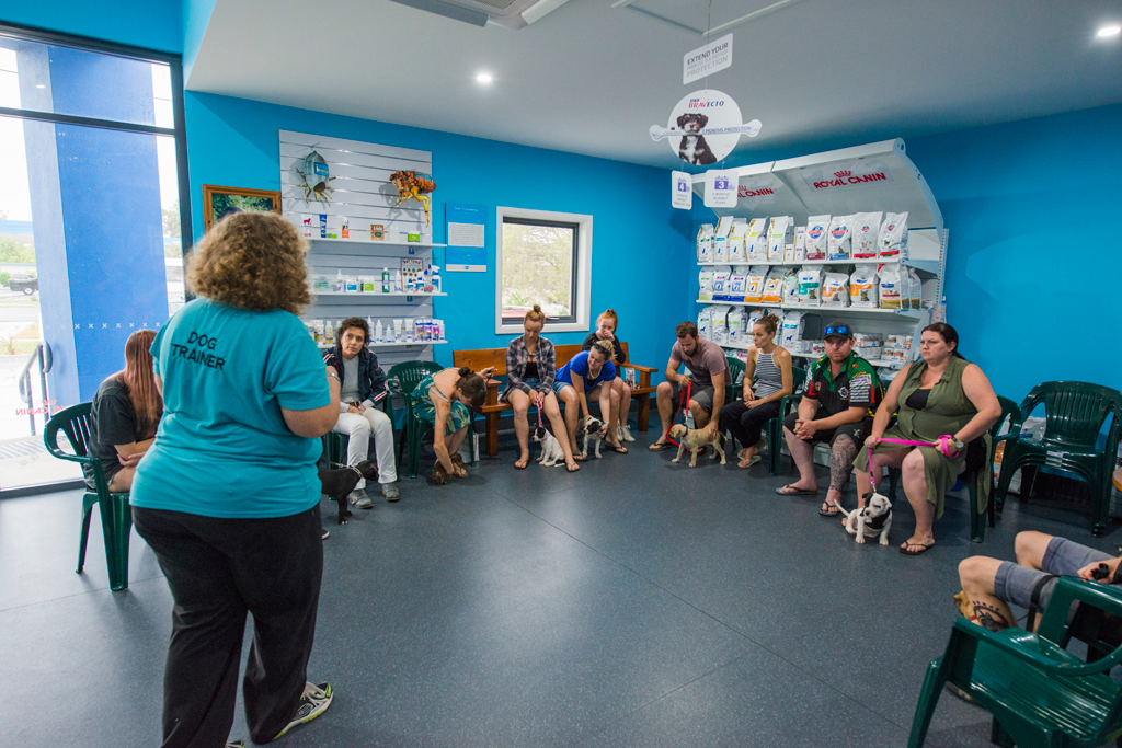 Blue & White Veterinary Clinic Nambucca Heads