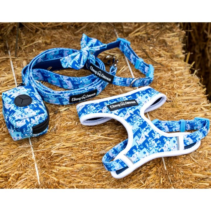 Muddy Paws Dog Grooming Salon Yarrahapinni NSW 2441