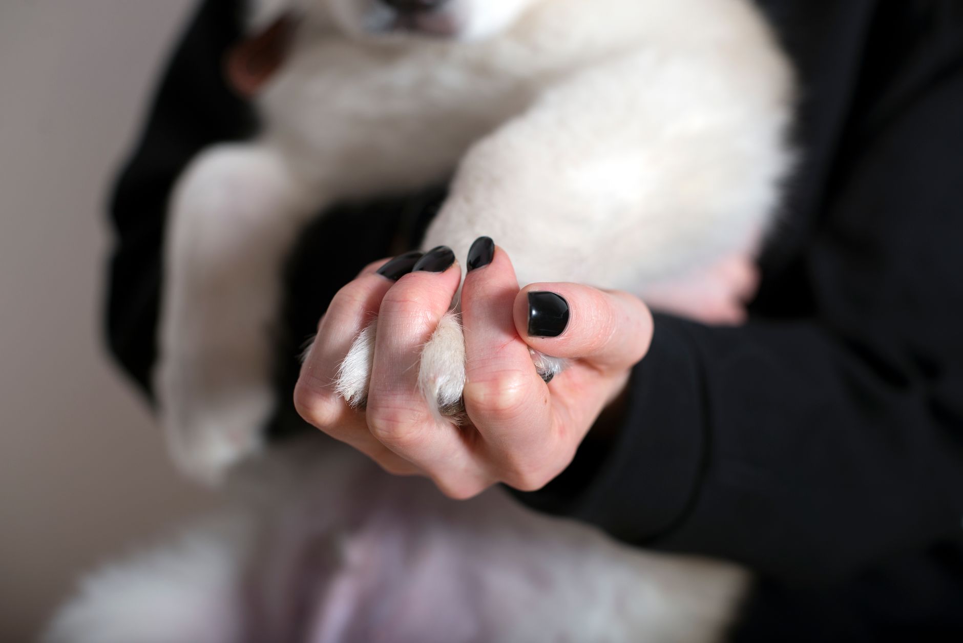 Kellies Custom Claws and Sparkle by Kellie south west rocks