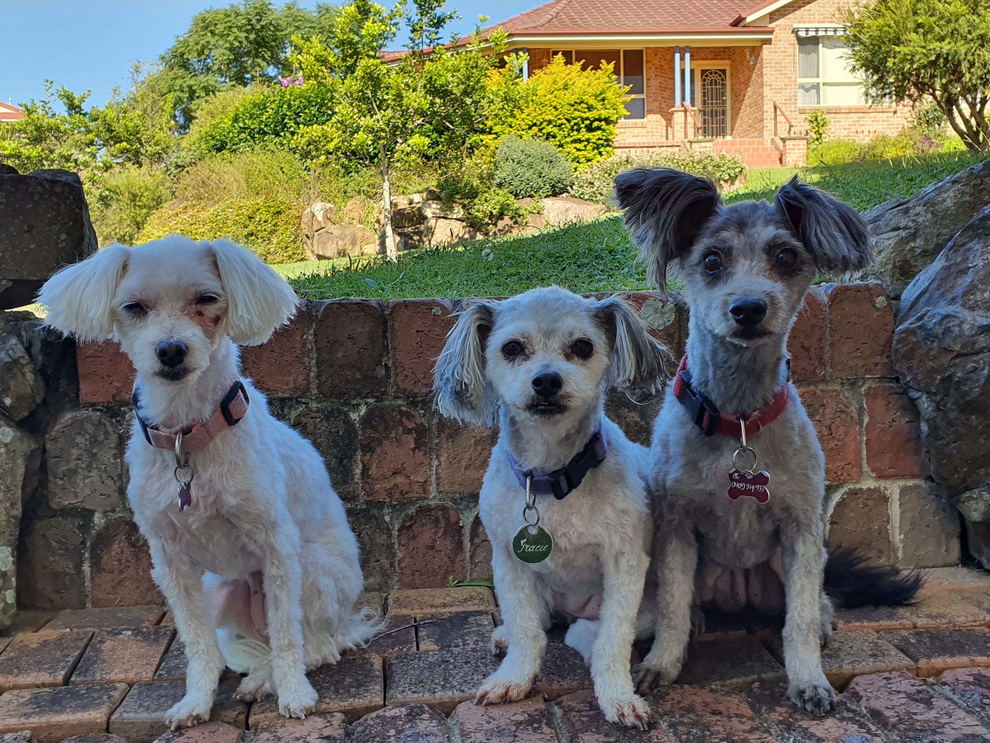 Macleay Valley Veterinary Services