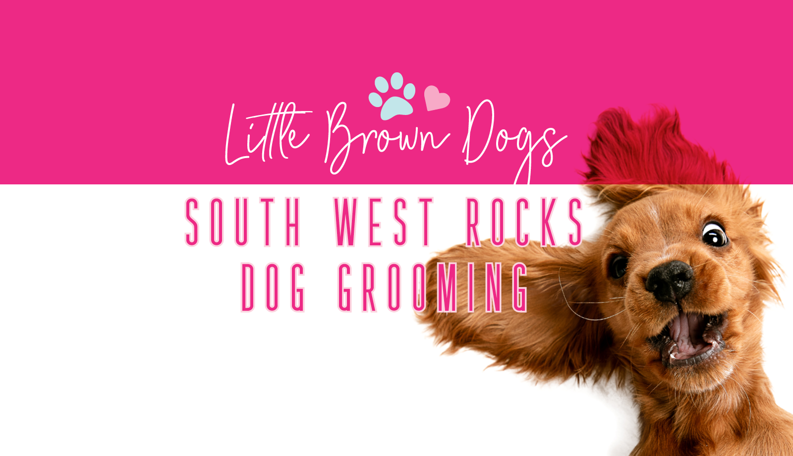 Little Brown Dogs SWR Dog Grooming logo