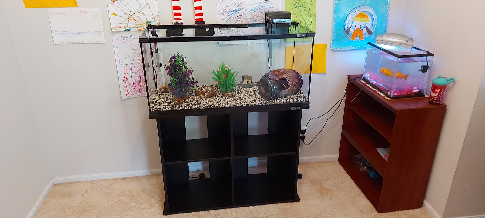 Petbarn Port Macquarie
