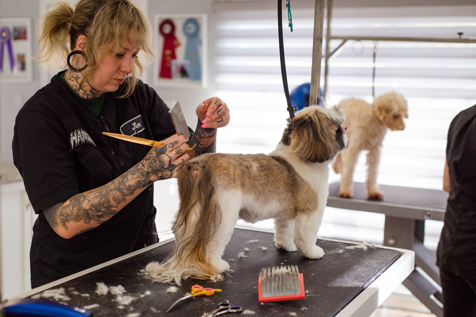 Claws & Paws Grooming Salon