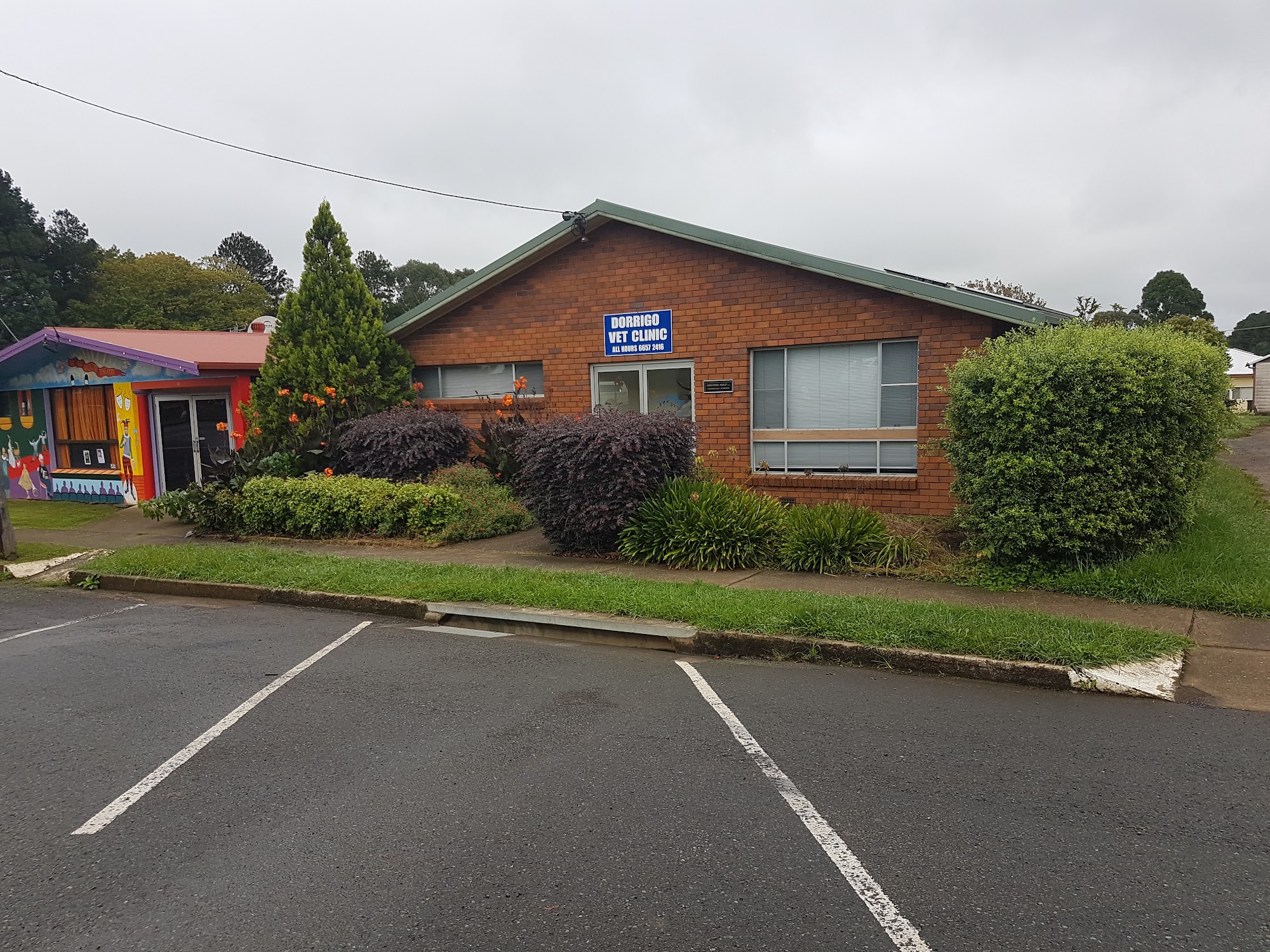 Dorrigo Veterinary Clinic — Pet Groomers