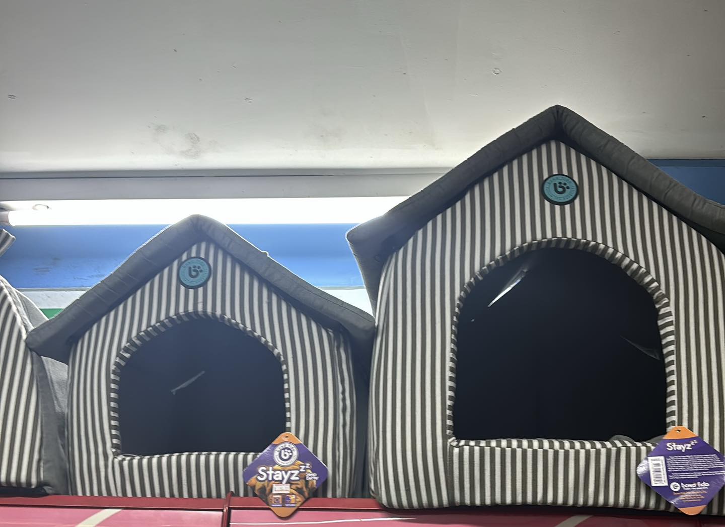 Armidale Pet Shop — Pet Groomers