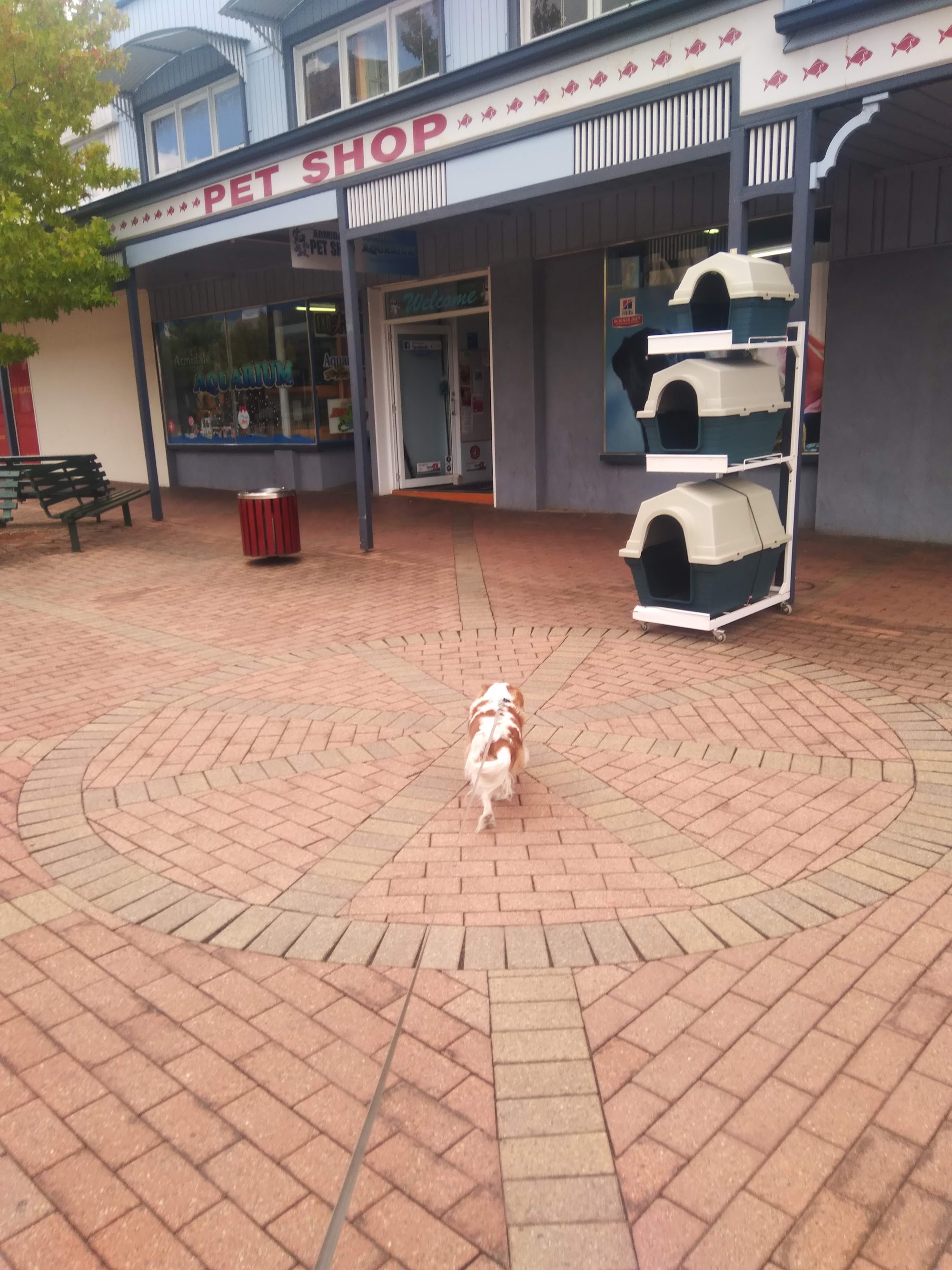 Armidale Pet Shop
