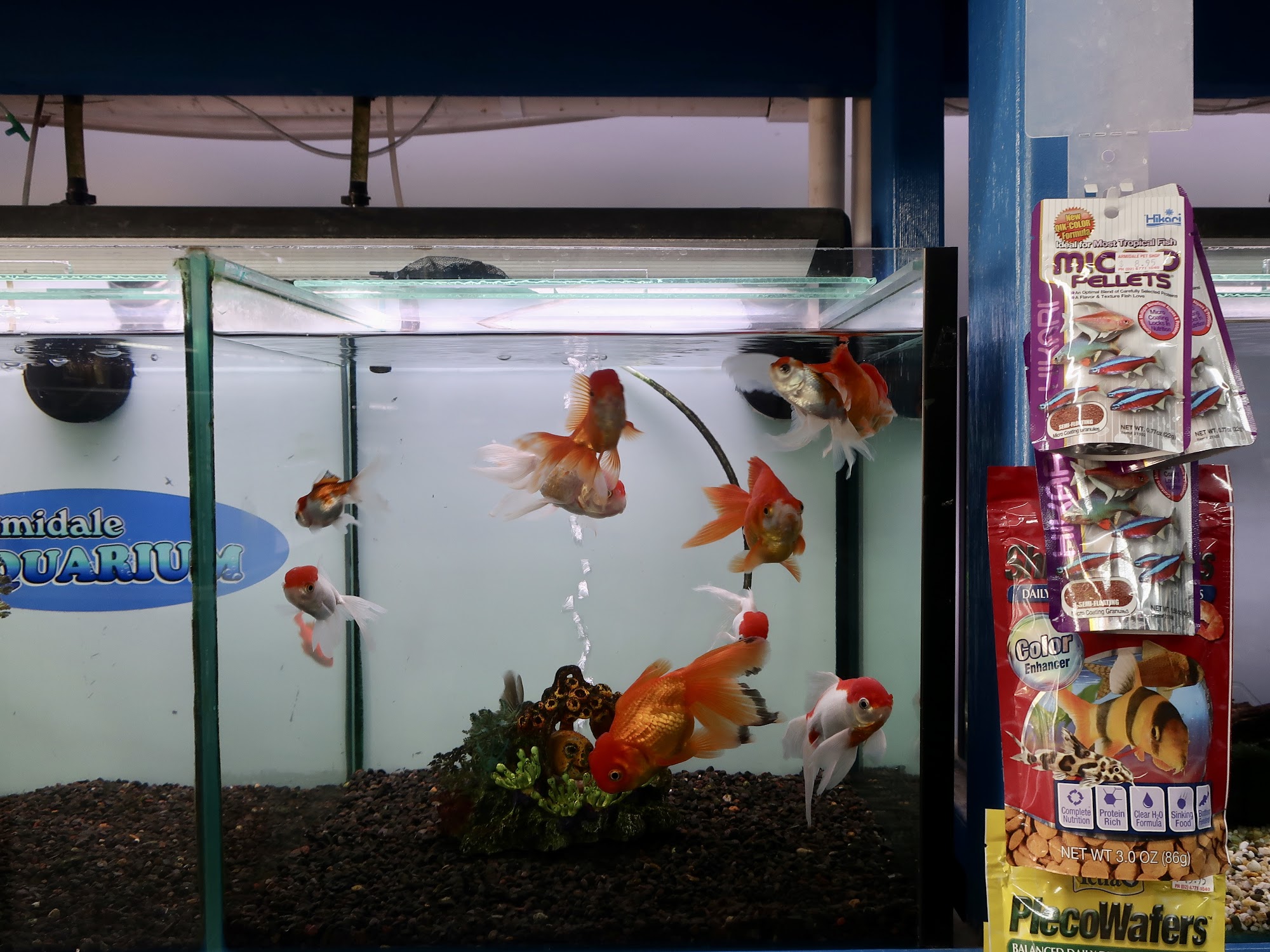 Armidale Pet Shop