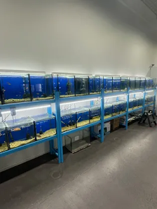 Inverell Pet World