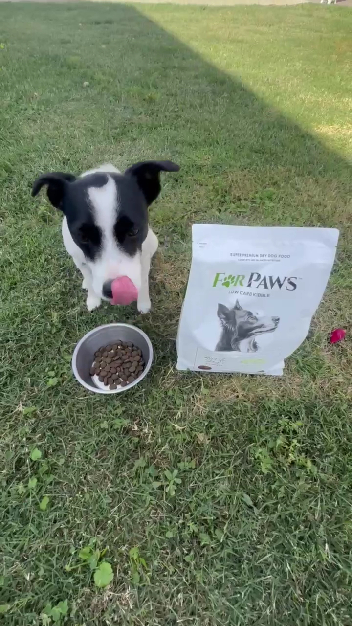 For Paws Low Carb Kibble