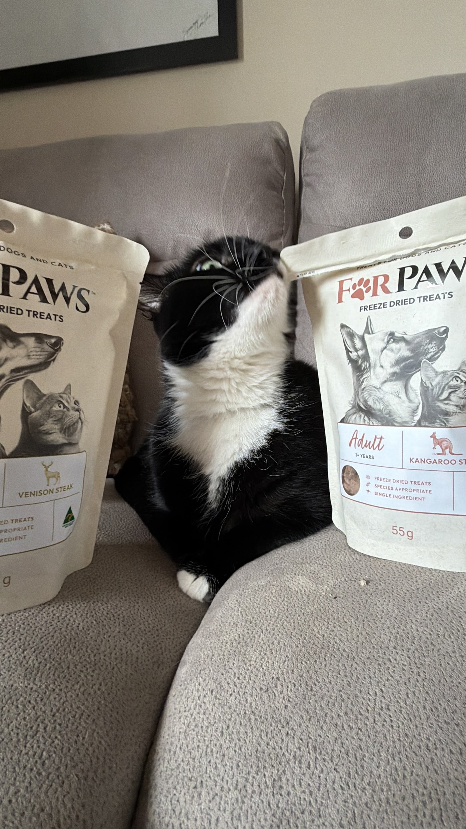 For Paws Low Carb Kibble