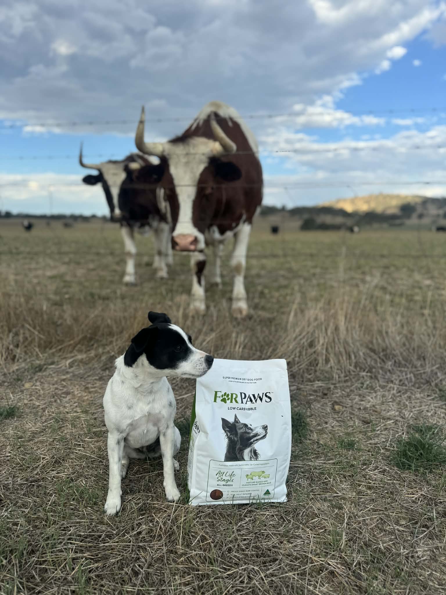 For Paws Low Carb Kibble