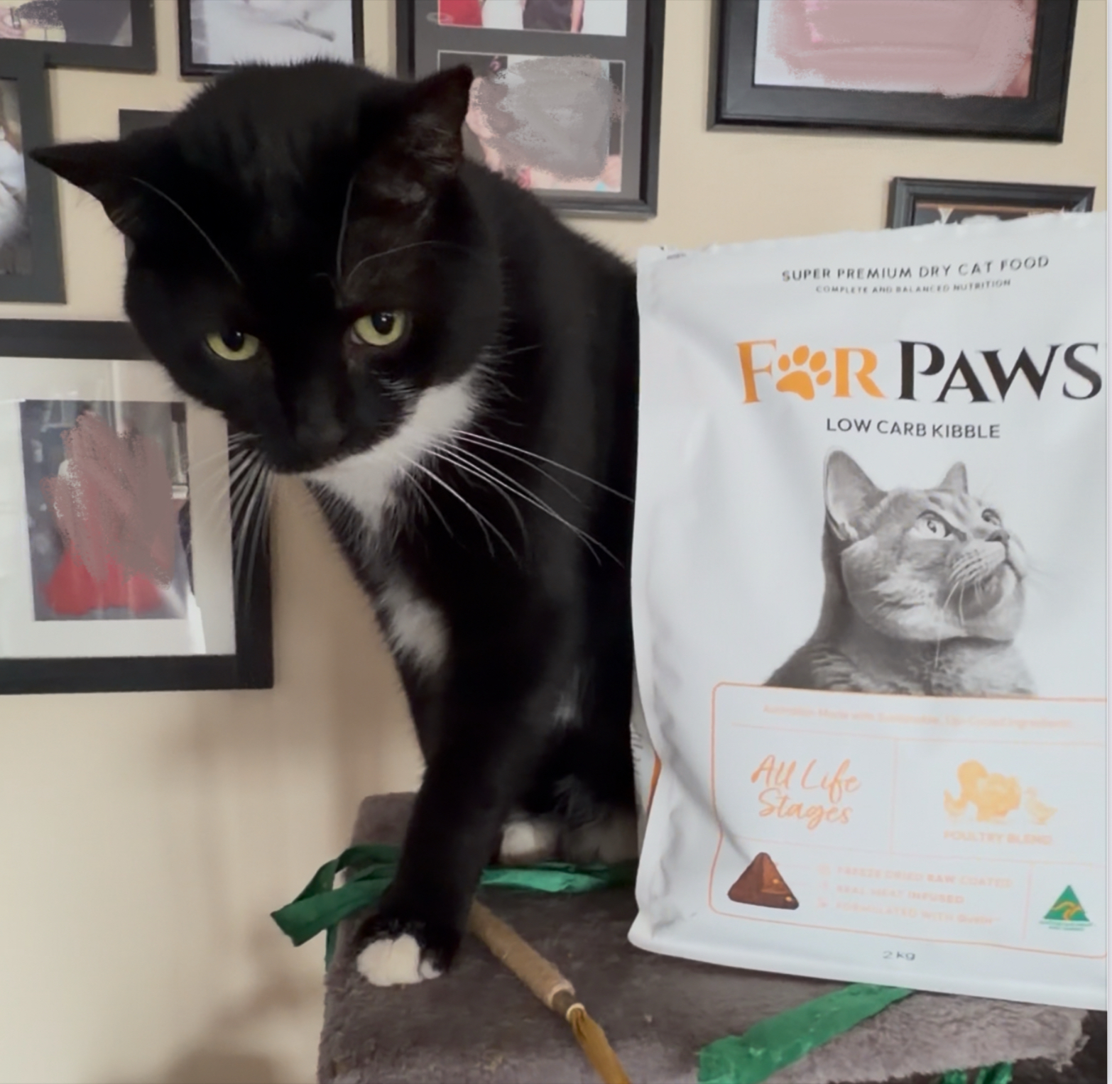 For Paws Low Carb Kibble