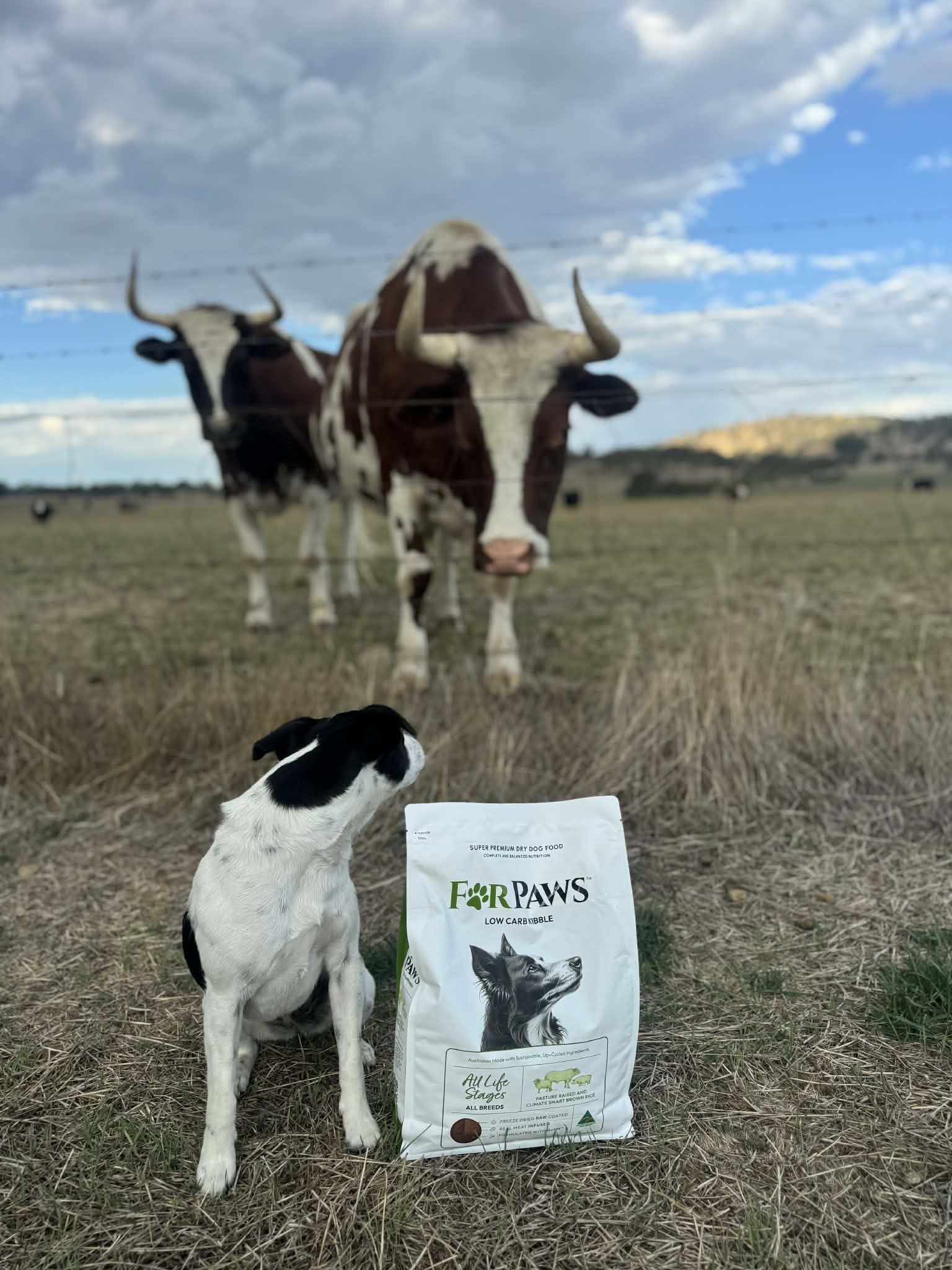 For Paws Low Carb Kibble