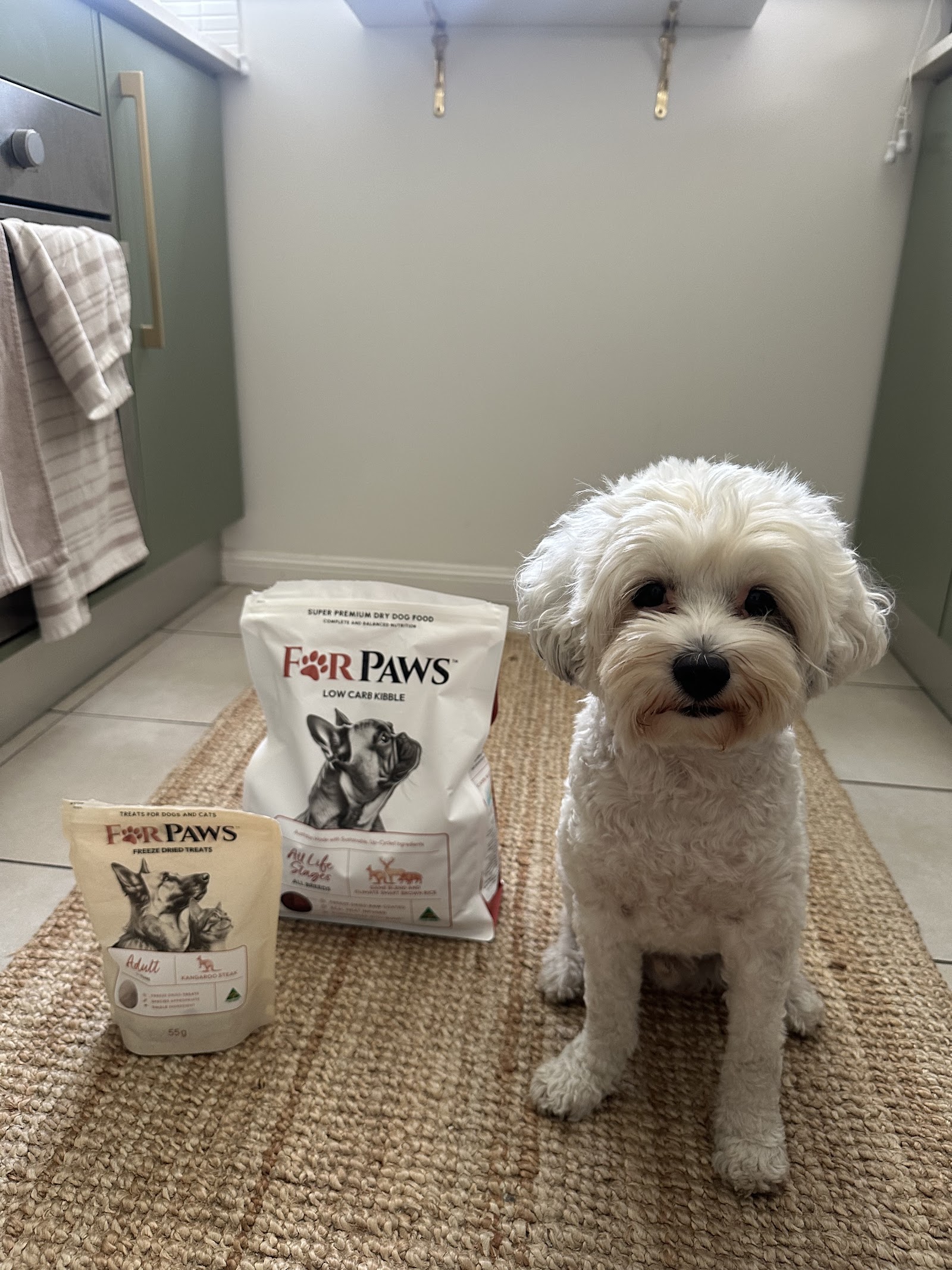 For Paws Low Carb Kibble