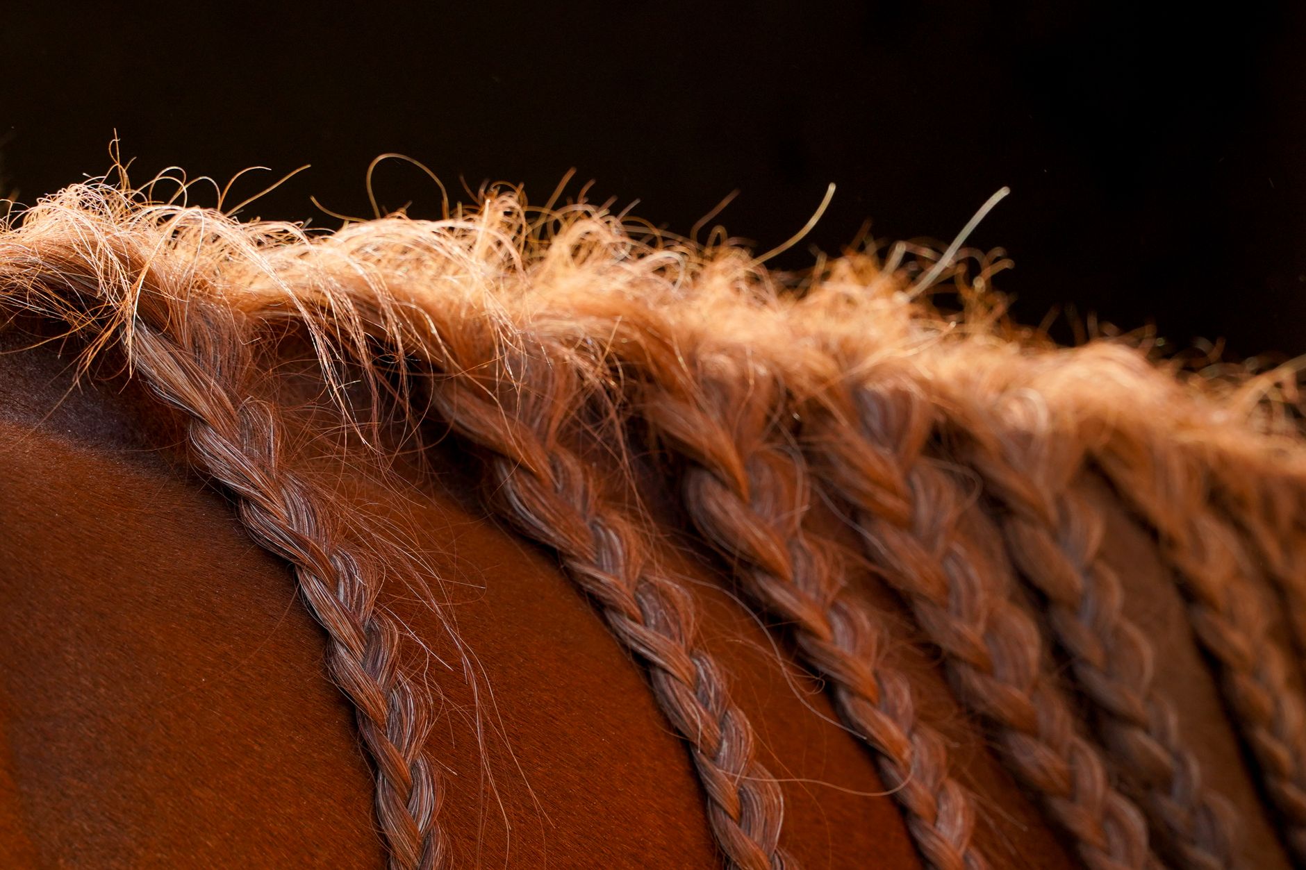 Bakers Barn Saddlery
