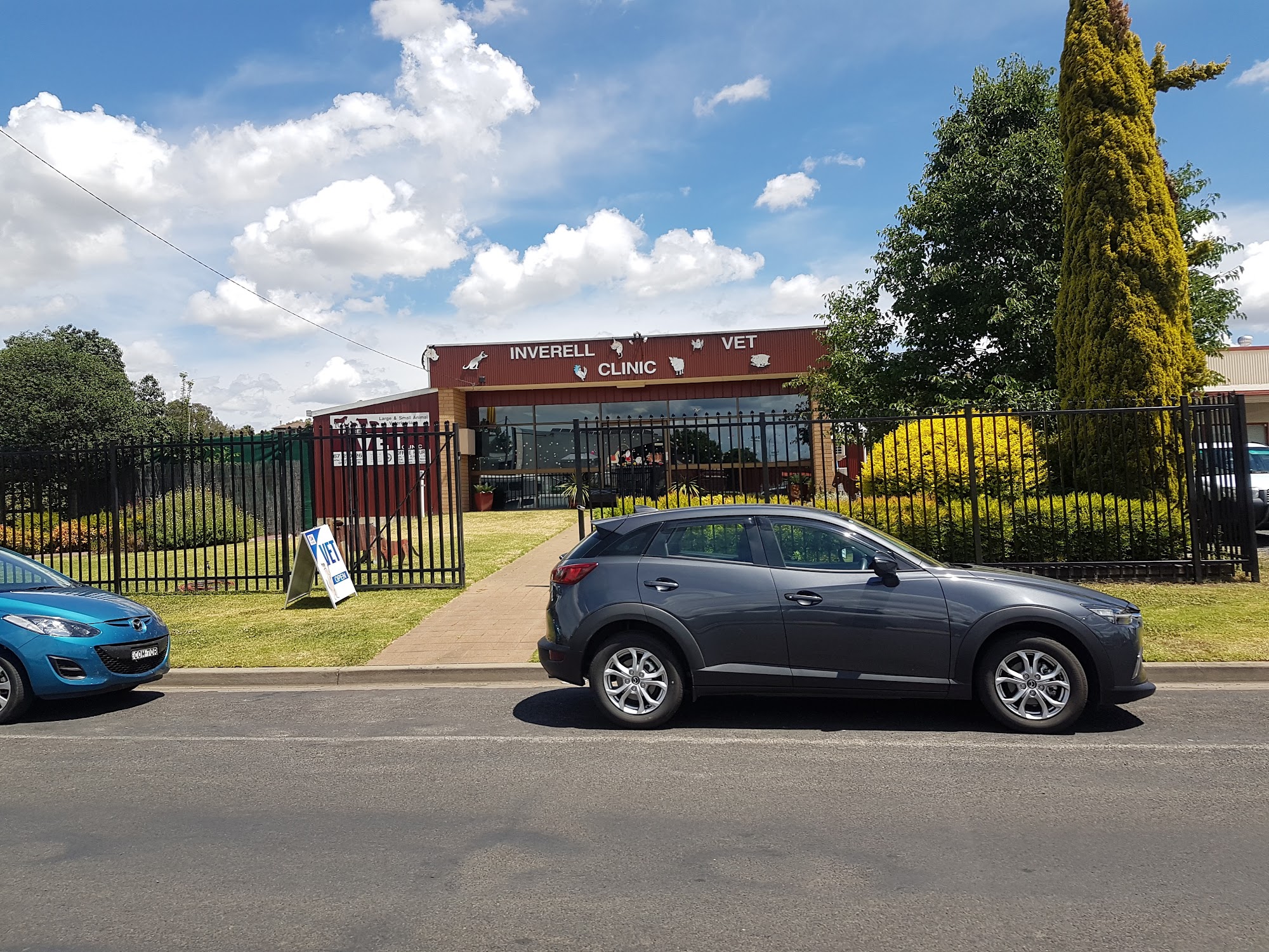 Inverell Vet Clinic — Pet Groomers