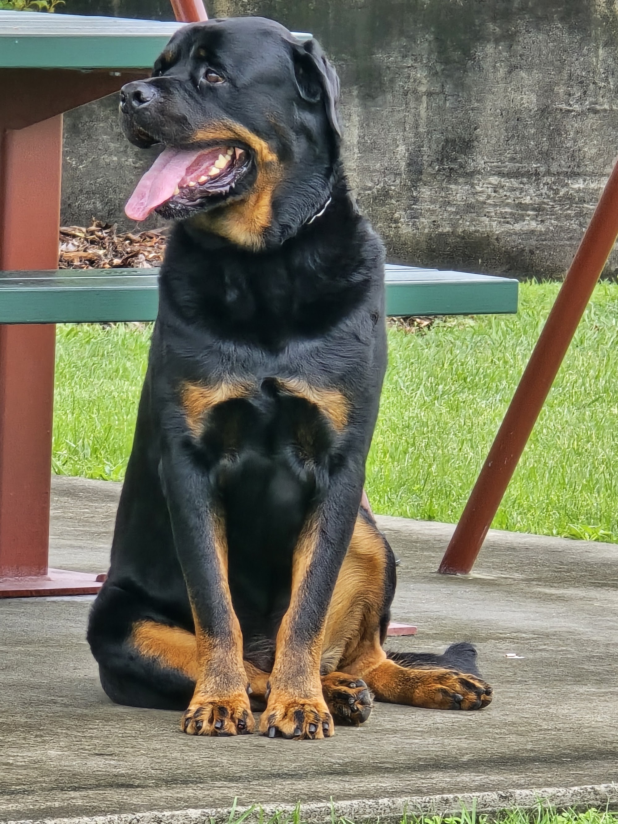 Inverell Vet Clinic