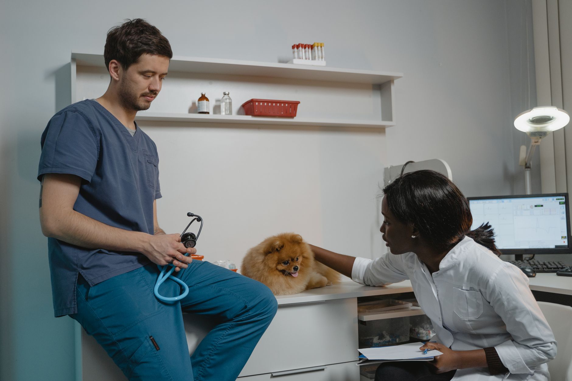 Inverell Vet Clinic