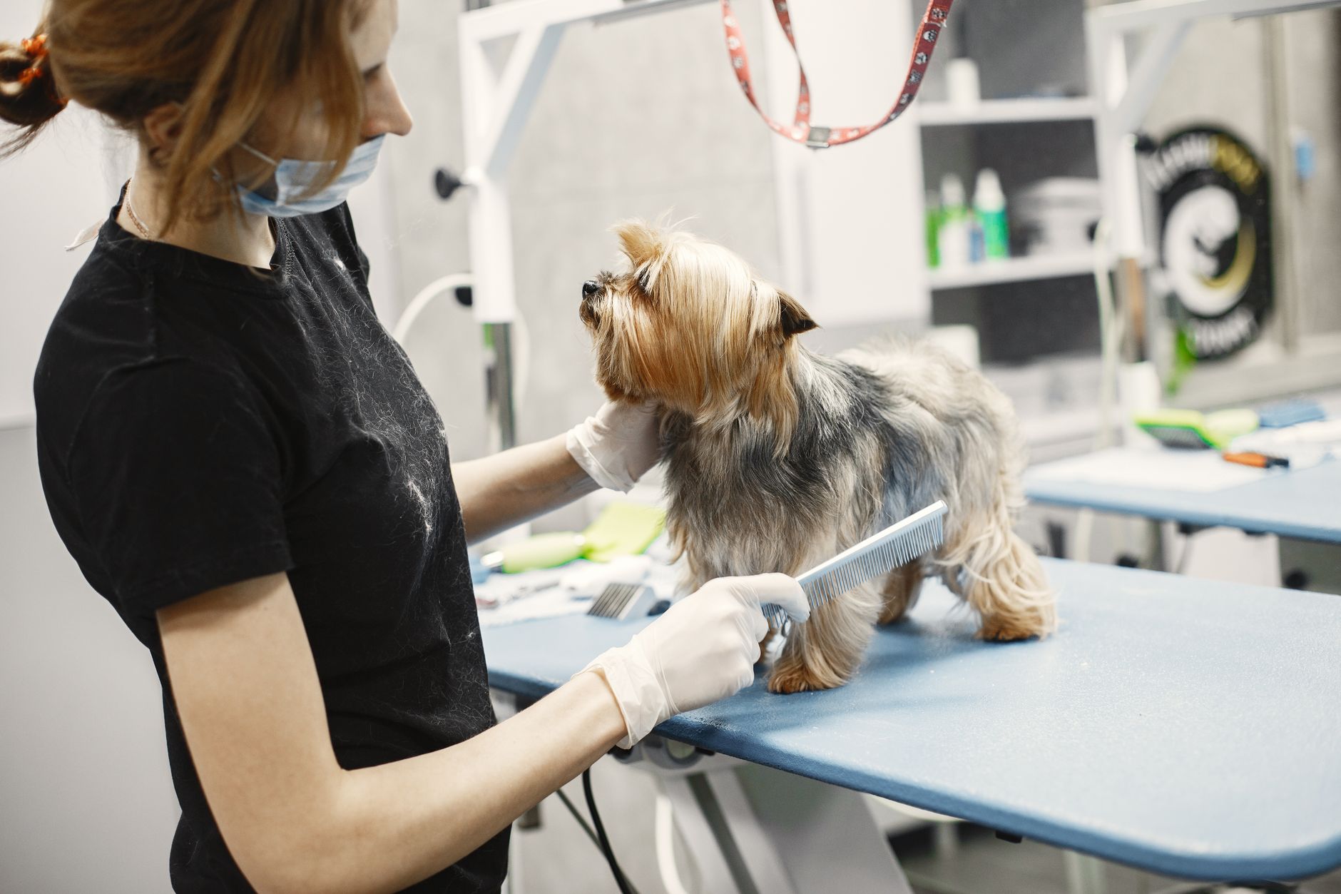 Inverell Vet Clinic