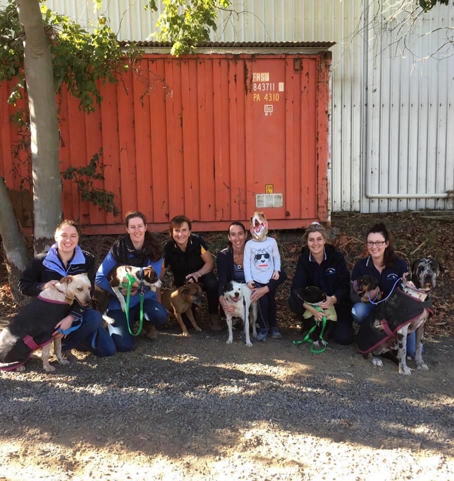 Narrabri Veterinary Clinic