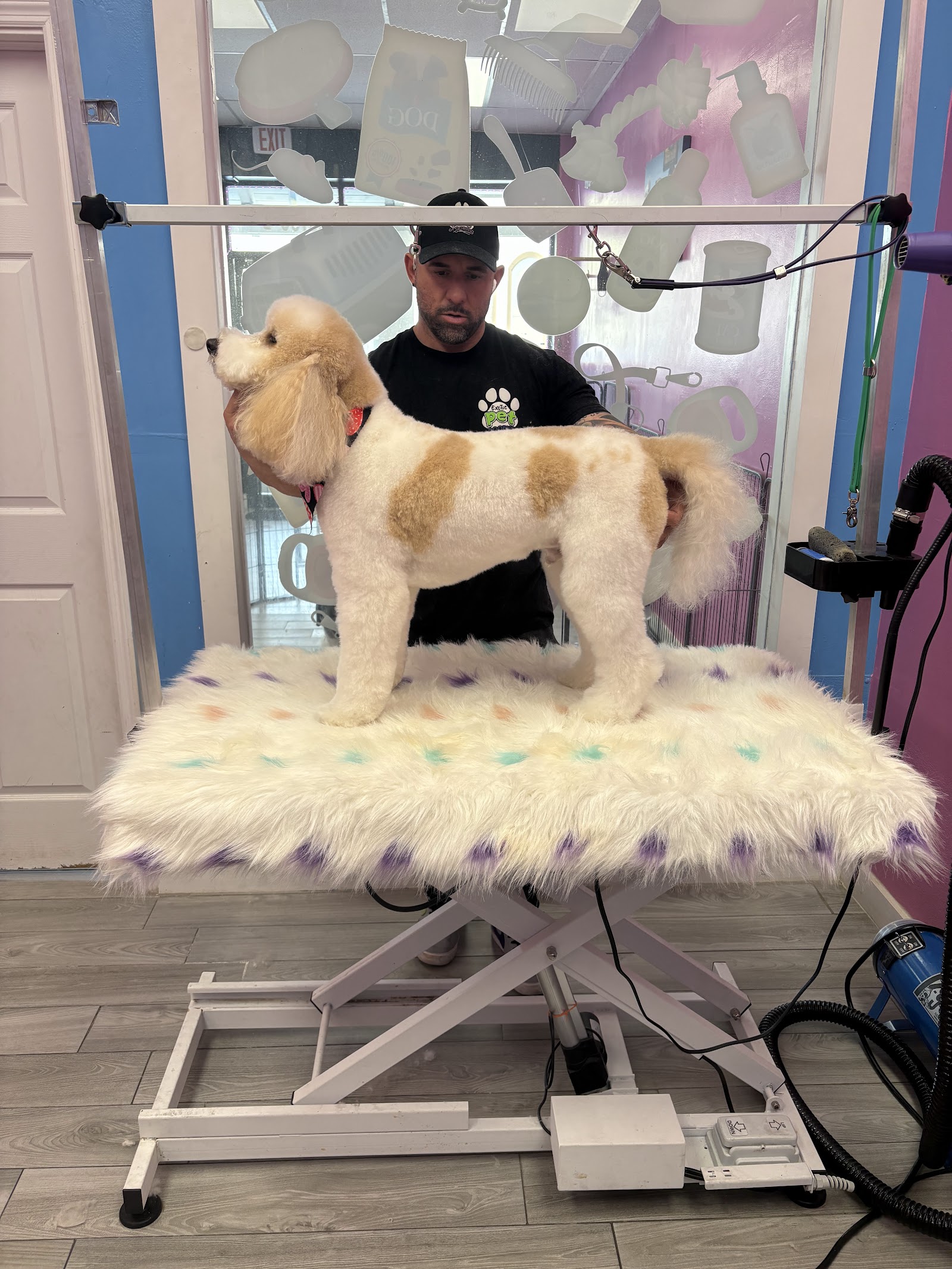 Our Pets - Grooming Service.