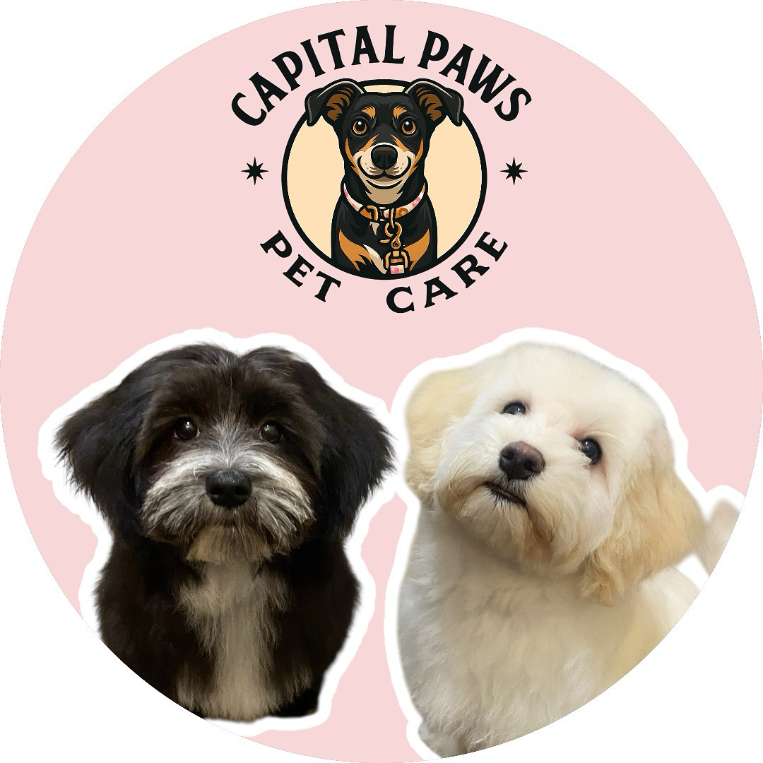 Capital Paws Pet Care logo