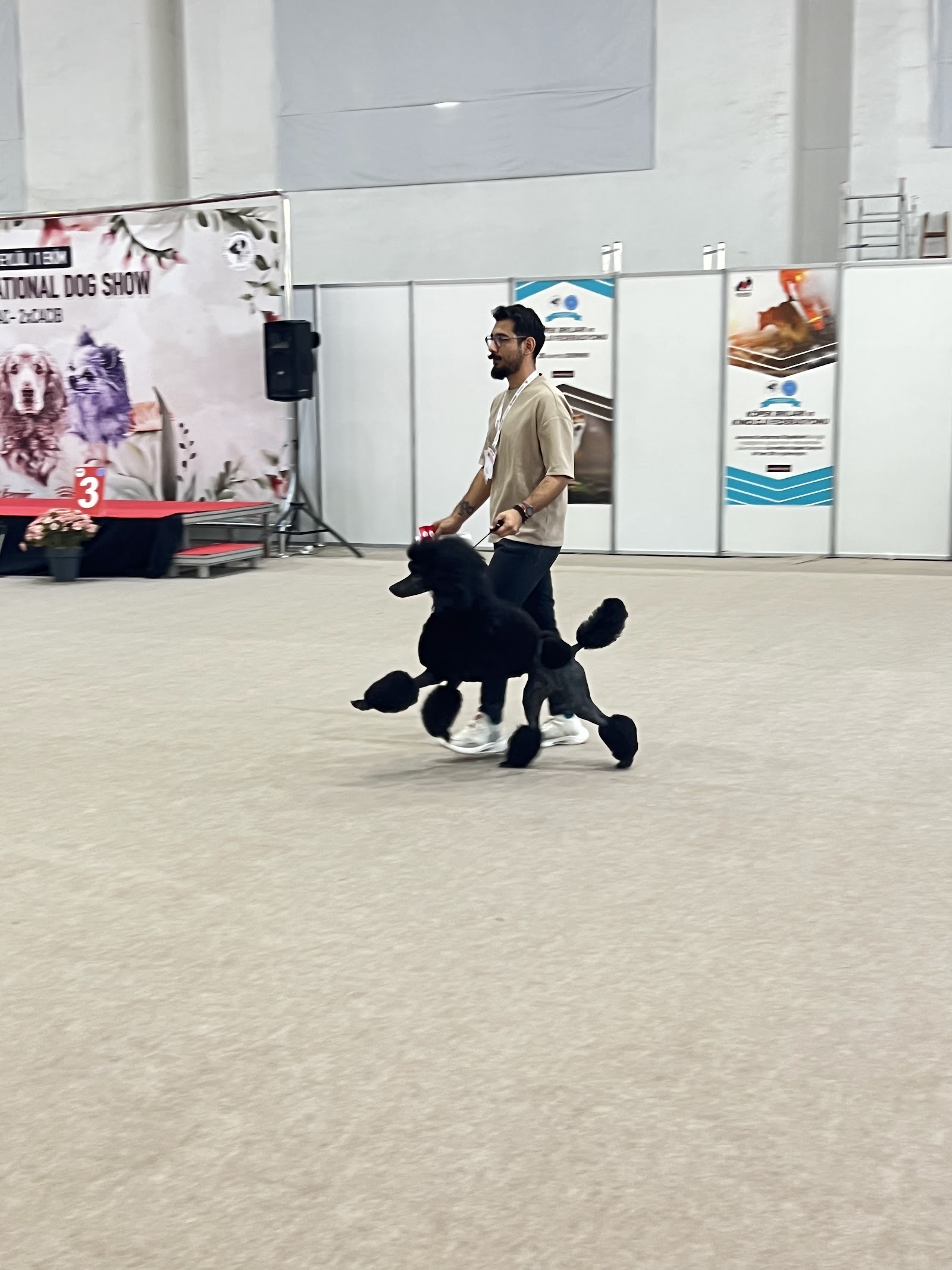 Erkin’in Pet Kuaför Salonu