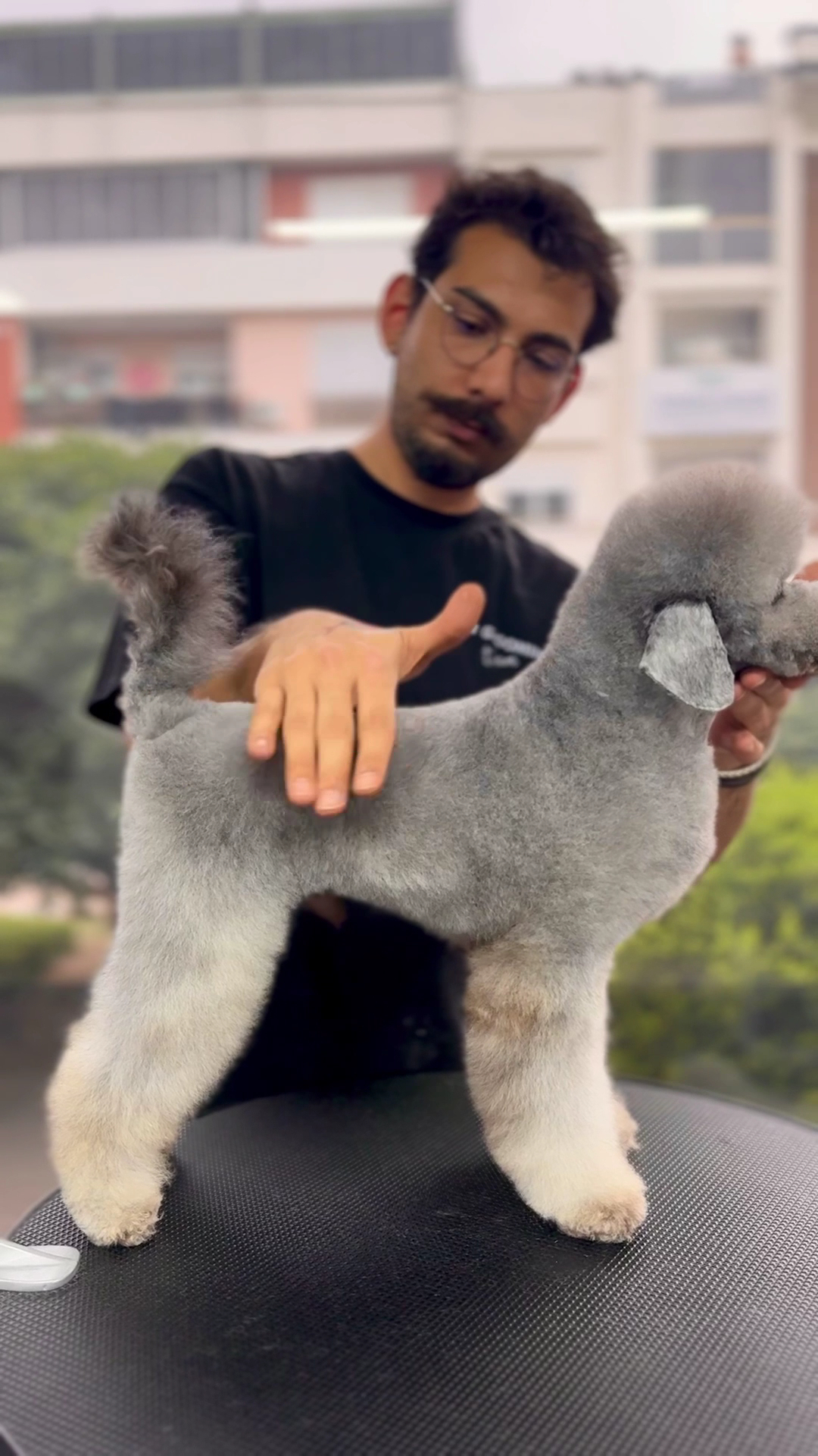 Erkin’in Pet Kuaför Salonu
