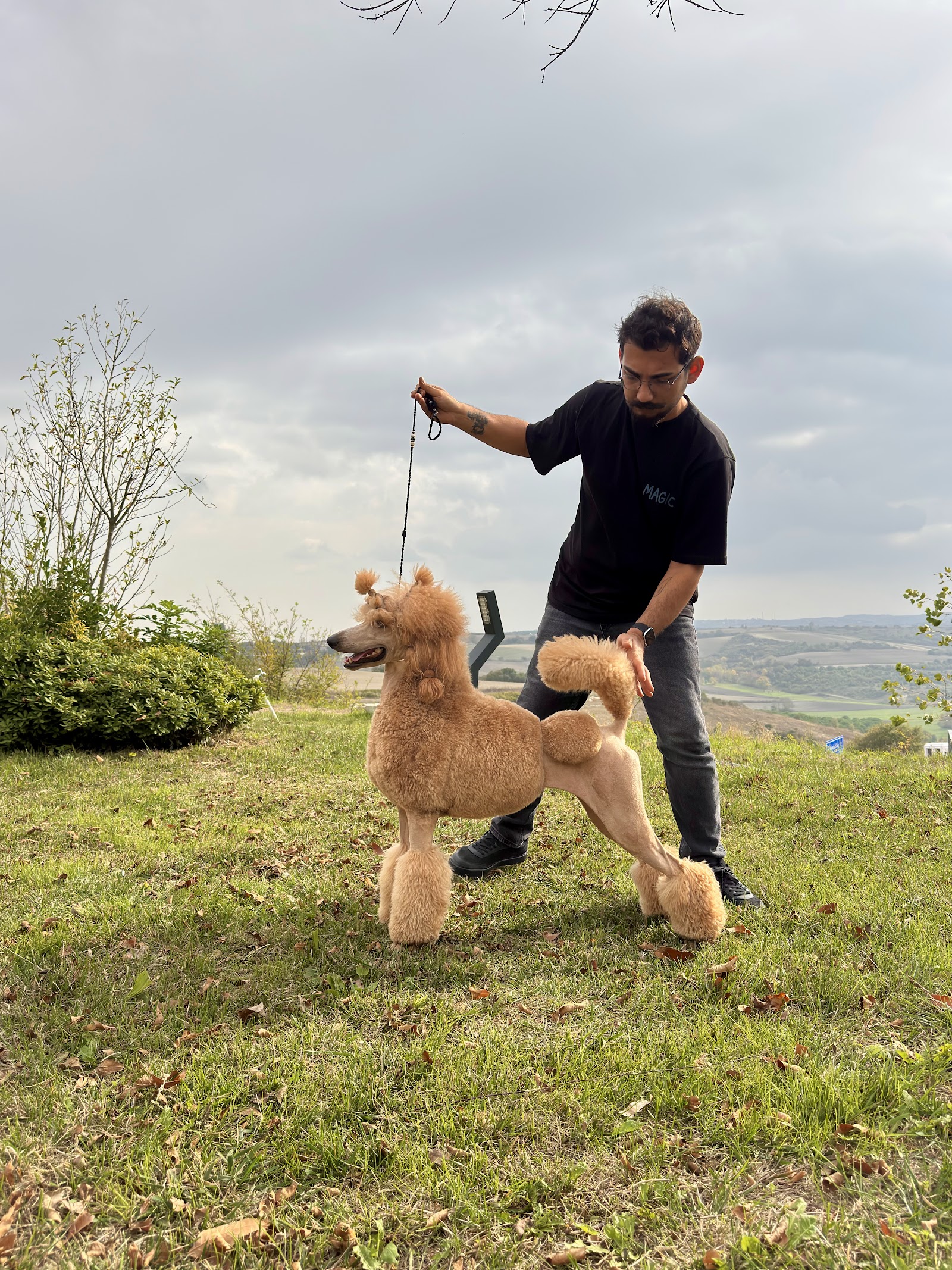 Erkin’in Pet Kuaför Salonu
