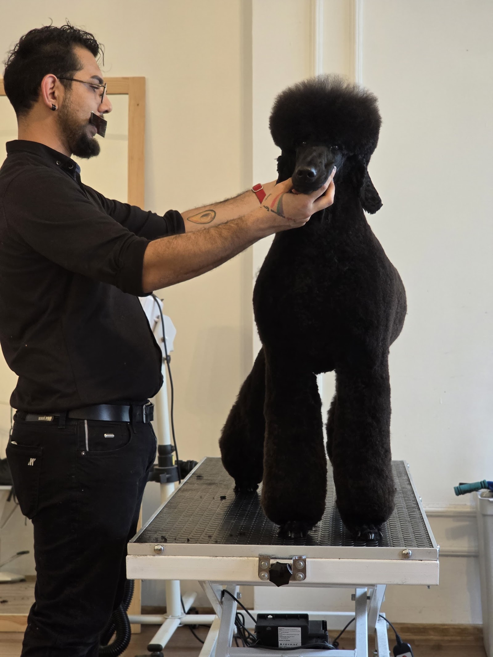 Erkin’in Pet Kuaför Salonu