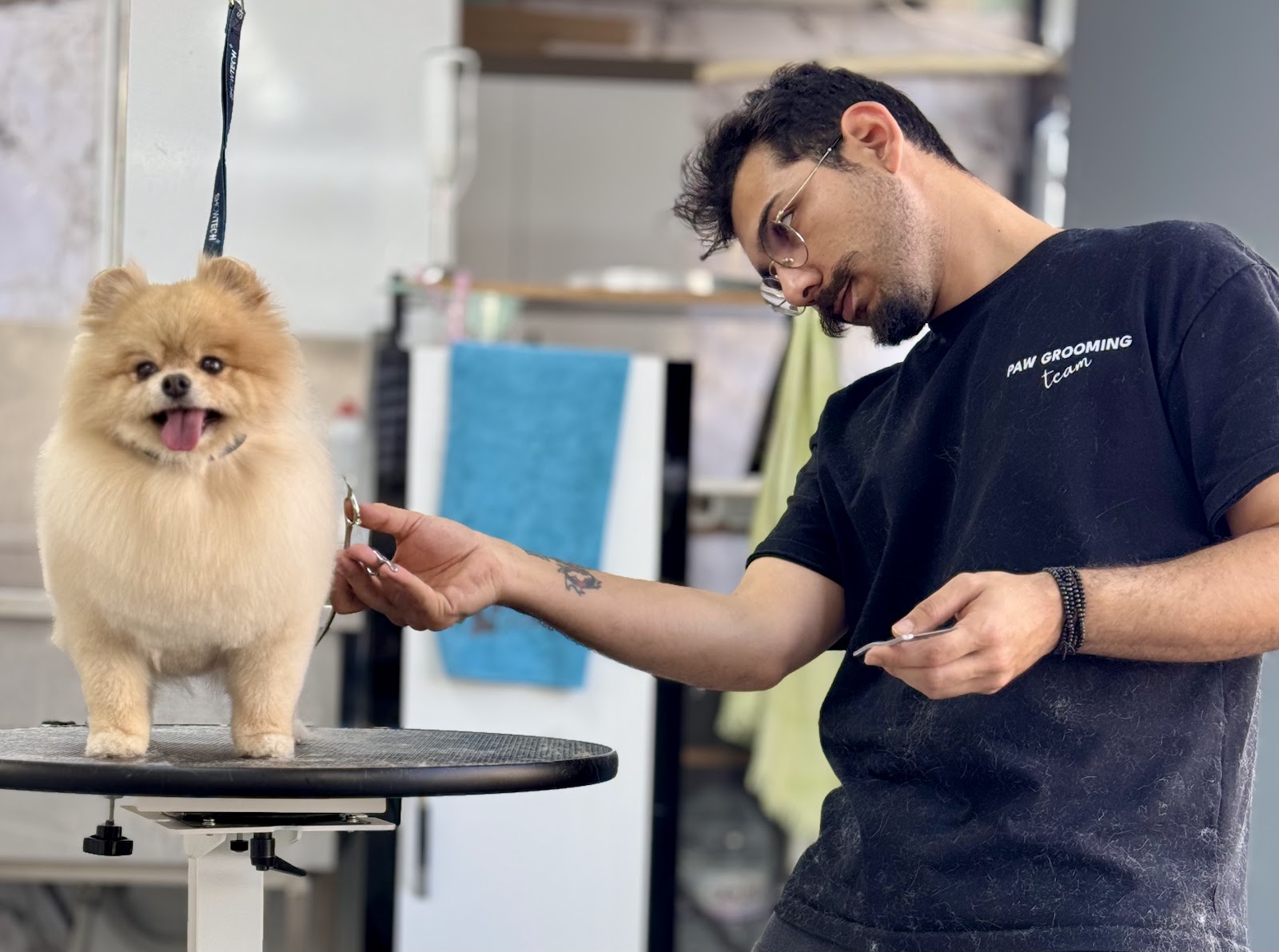 Erkin’in Pet Kuaför Salonu